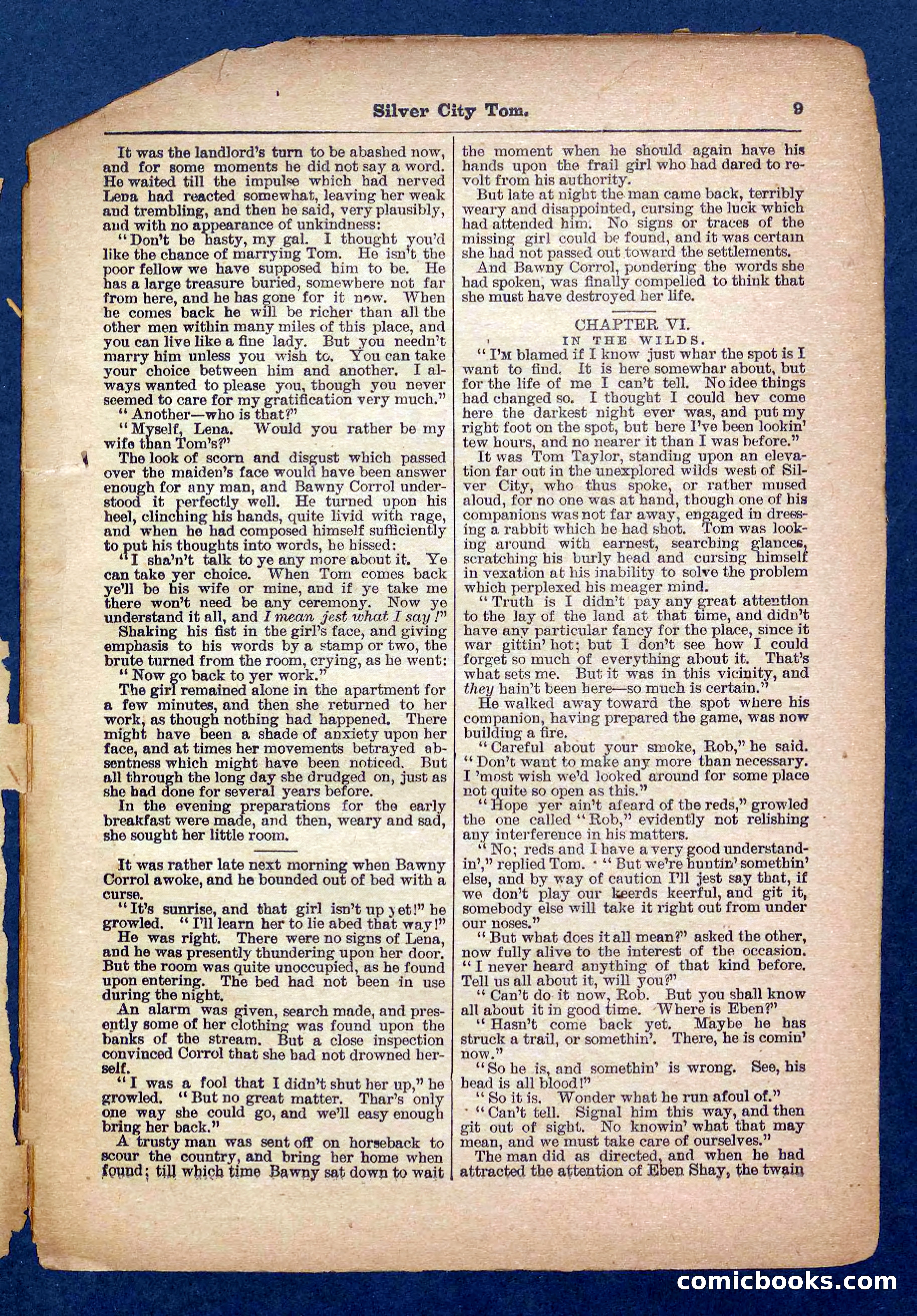 Beadle's Pocket Library No. 484 — page 9 of 32
