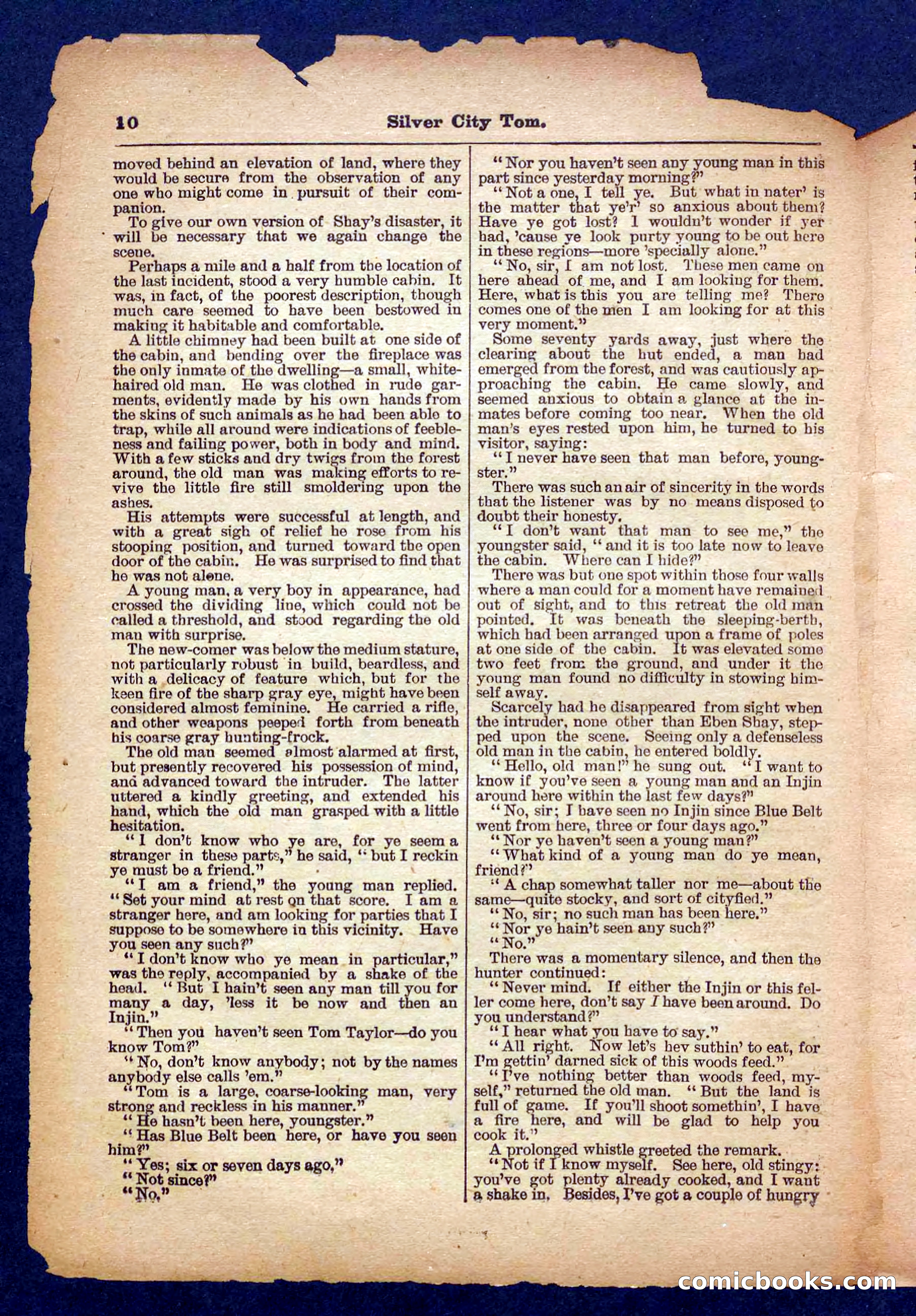 Beadle's Pocket Library No. 484 — page 10 of 32