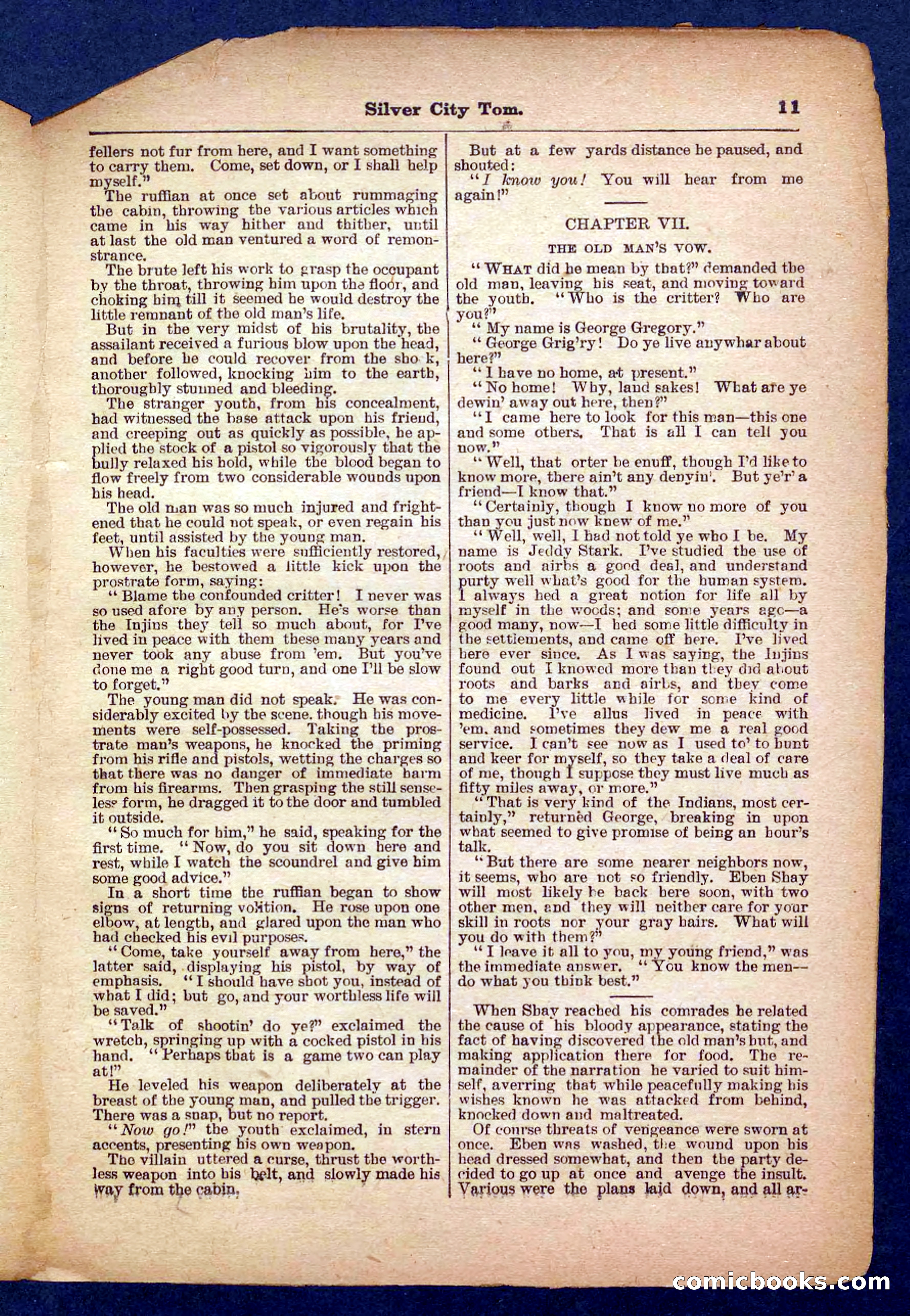 Beadle's Pocket Library No. 484 — page 11 of 32
