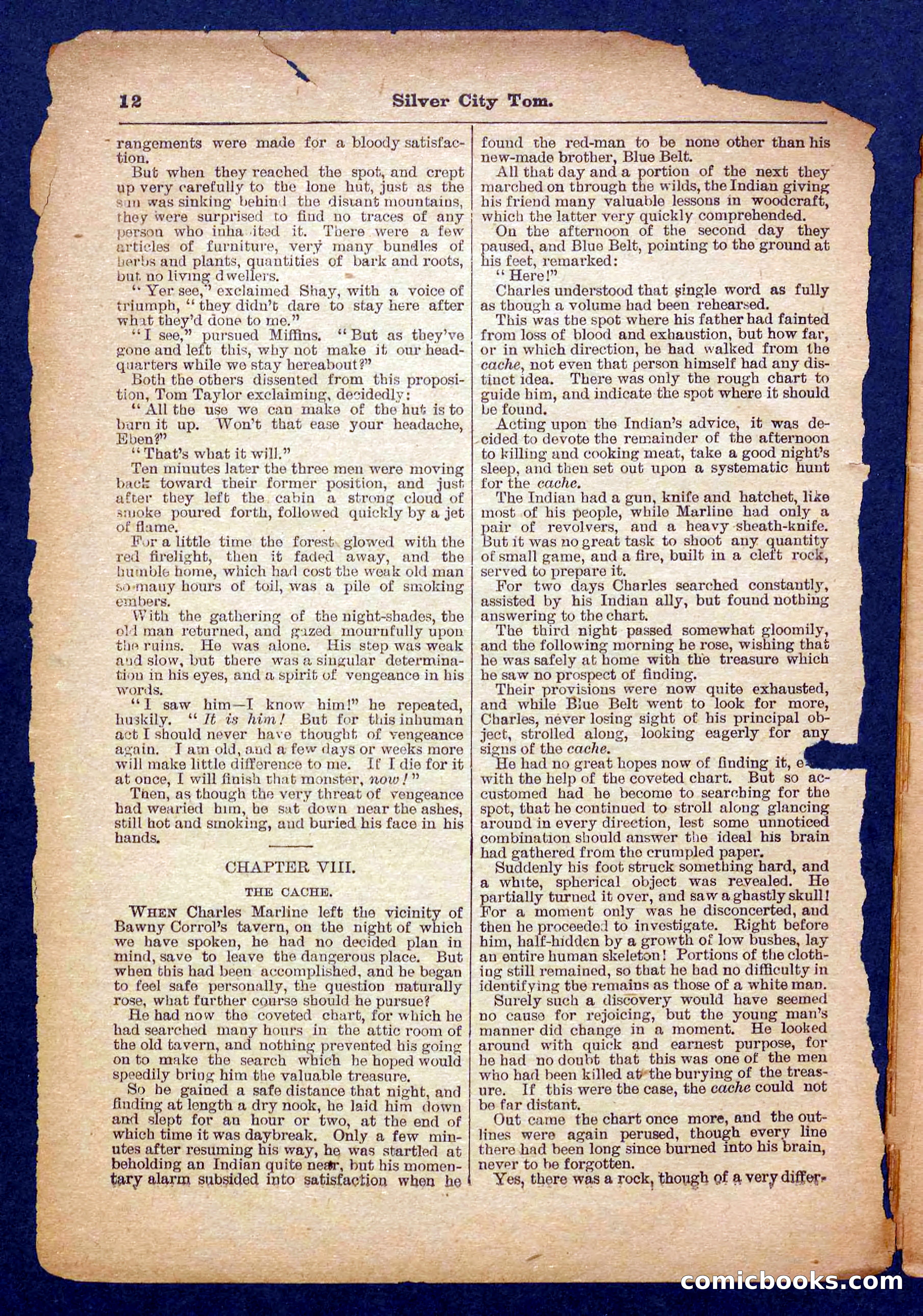 Beadle's Pocket Library No. 484 — page 12 of 32