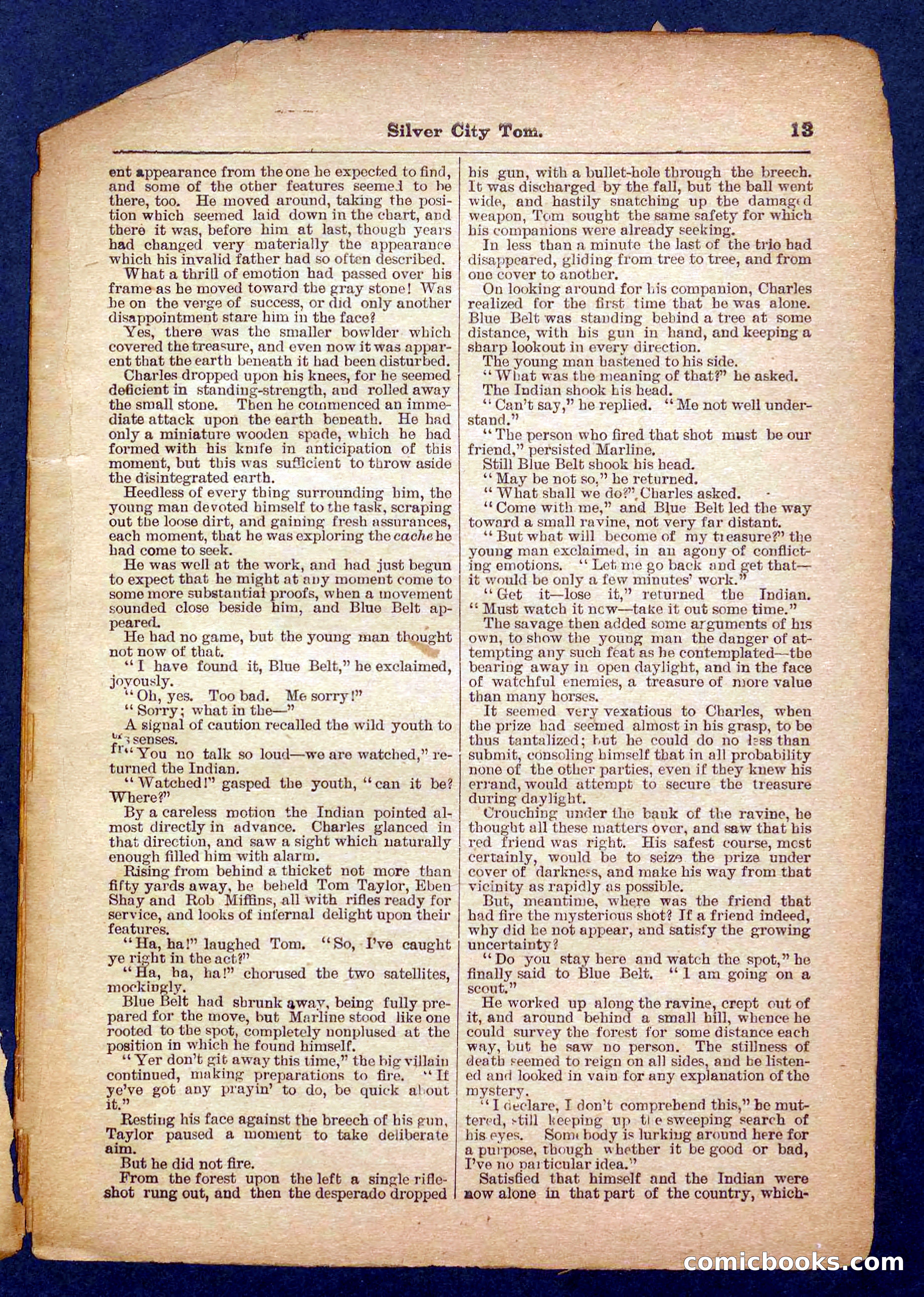 Beadle's Pocket Library No. 484 — page 13 of 32