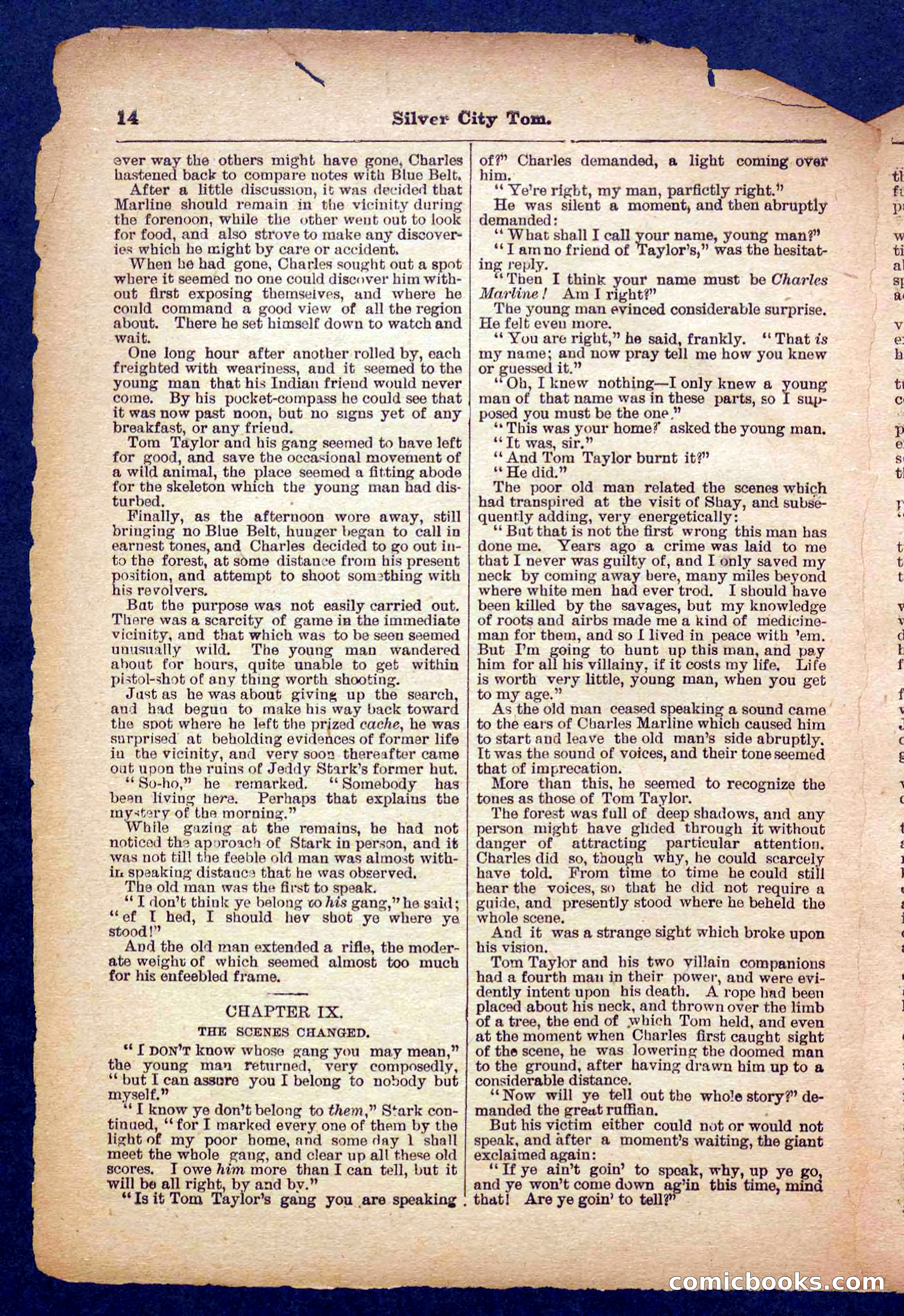 Beadle's Pocket Library No. 484 — page 14 of 32