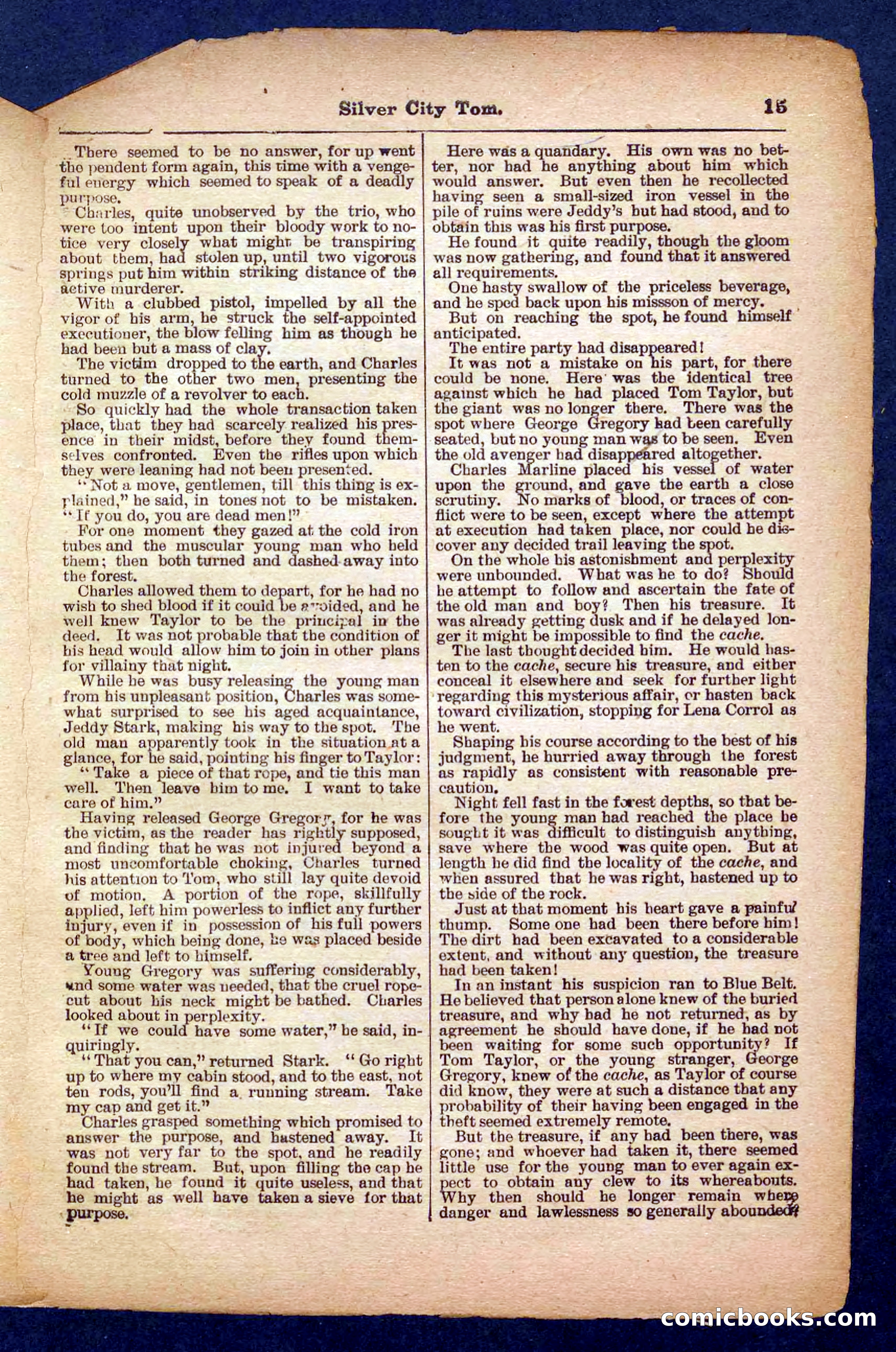 Beadle's Pocket Library No. 484 — page 15 of 32
