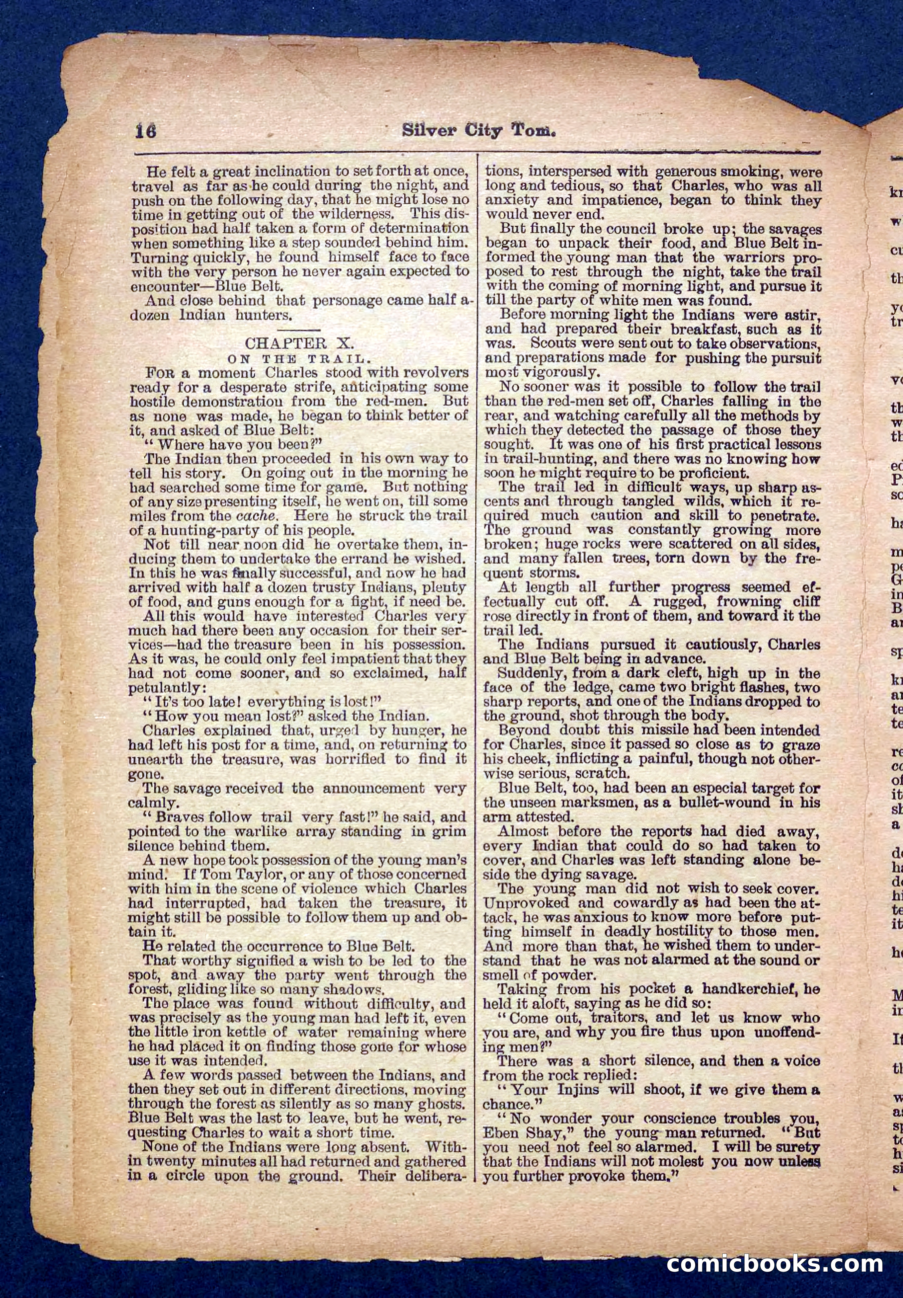 Beadle's Pocket Library No. 484 — page 16 of 32