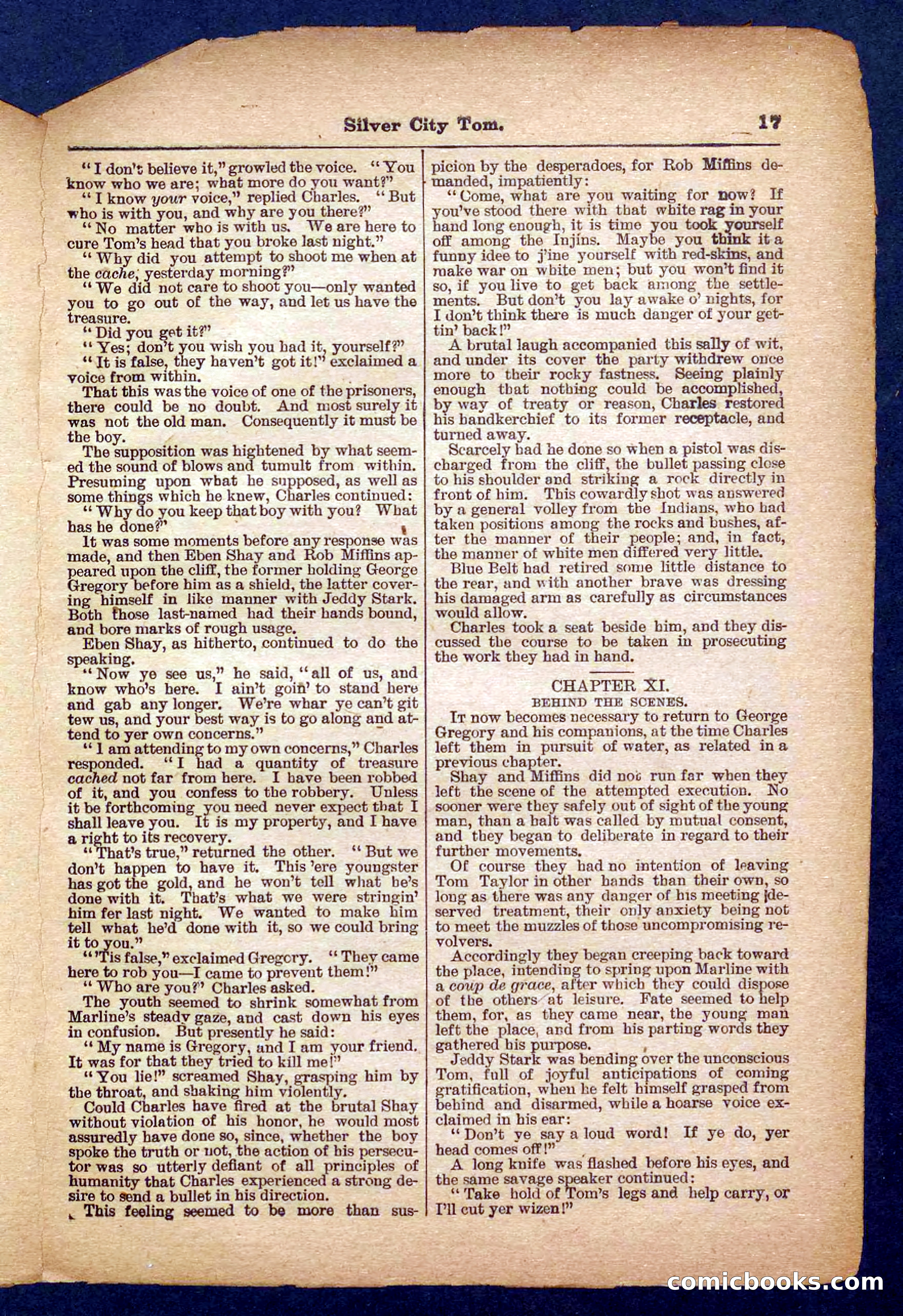 Beadle's Pocket Library No. 484 — page 17 of 32