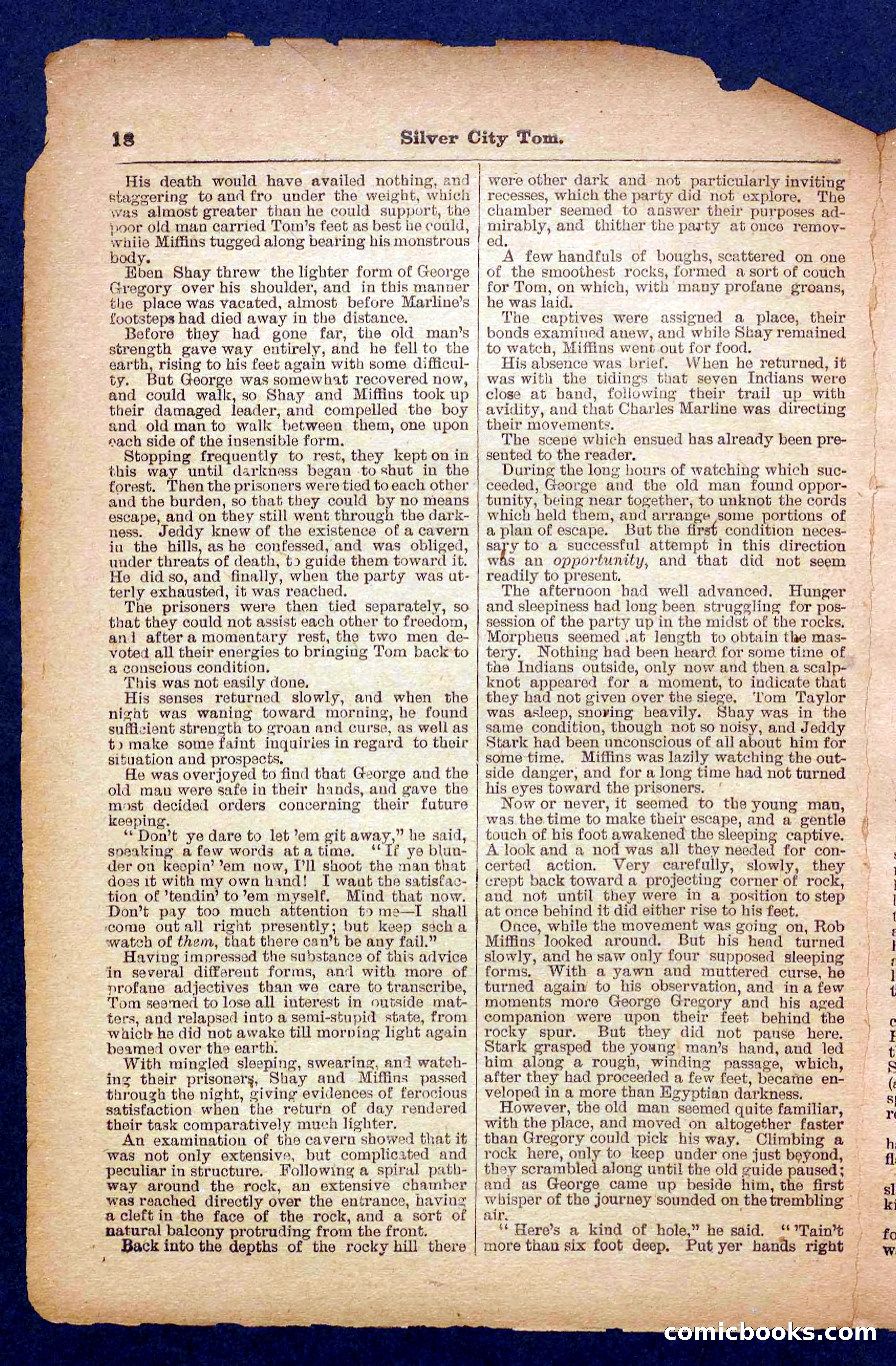 Beadle's Pocket Library No. 484 — page 18 of 32