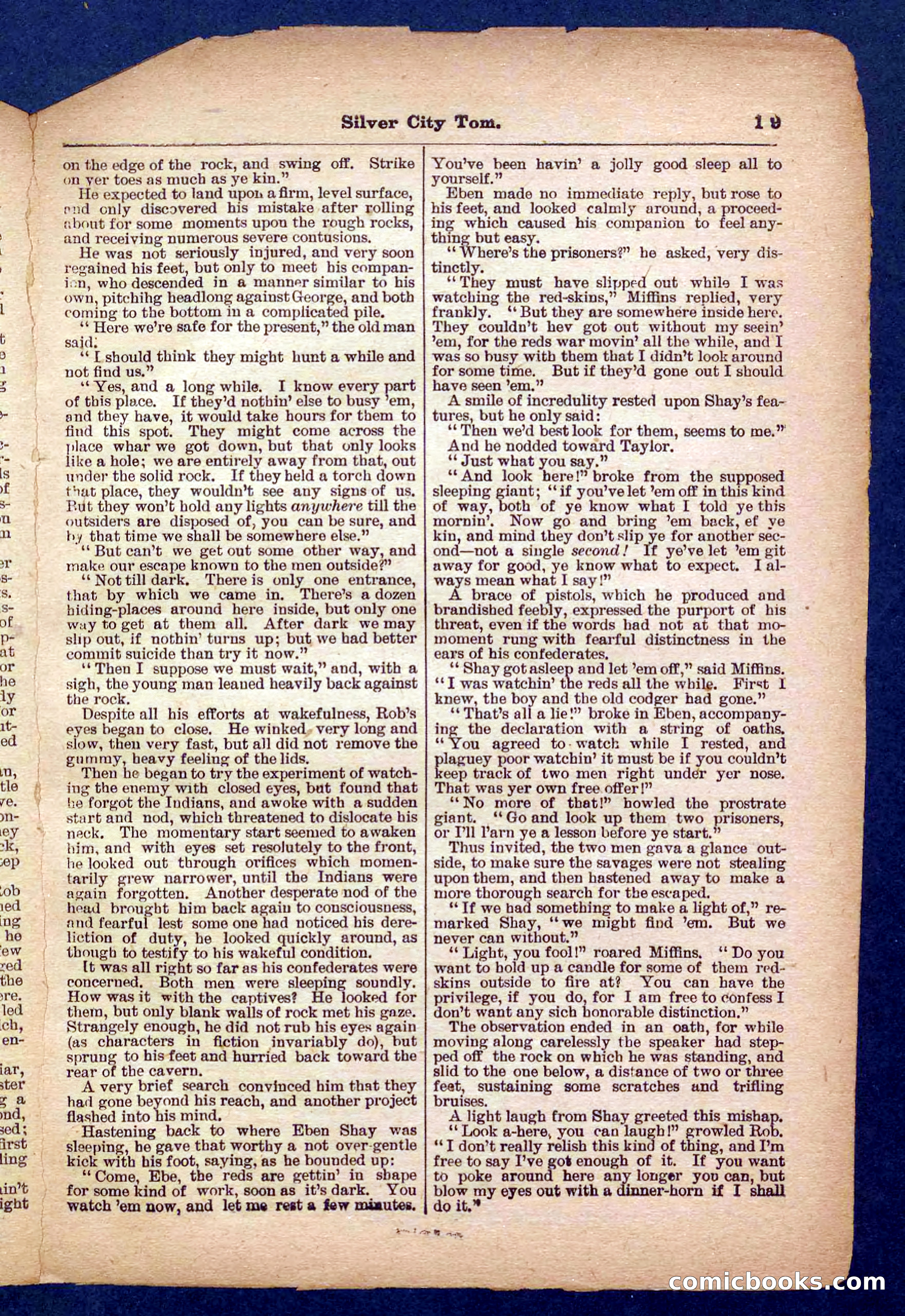 Beadle's Pocket Library No. 484 — page 19 of 32