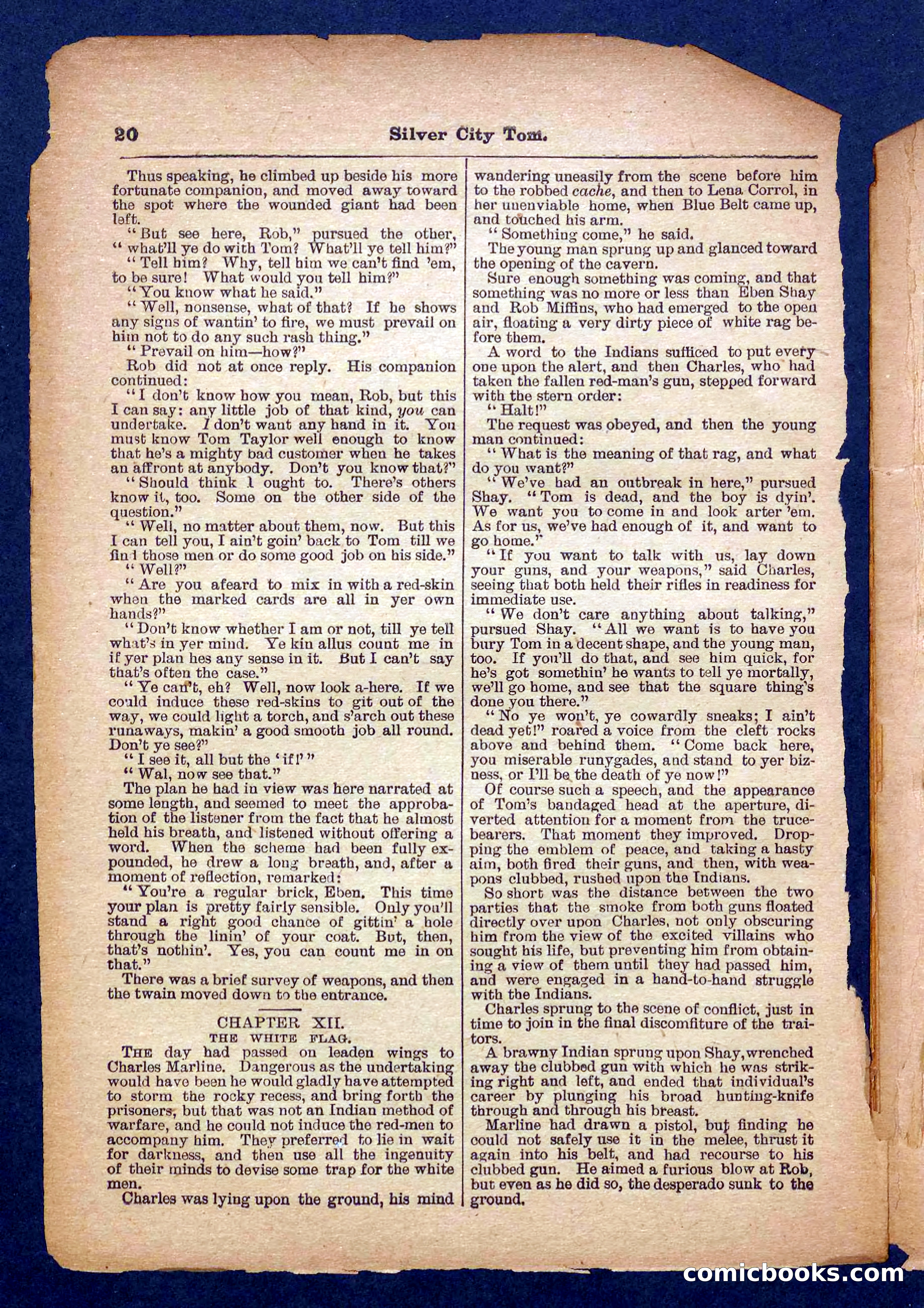 Beadle's Pocket Library No. 484 — page 20 of 32