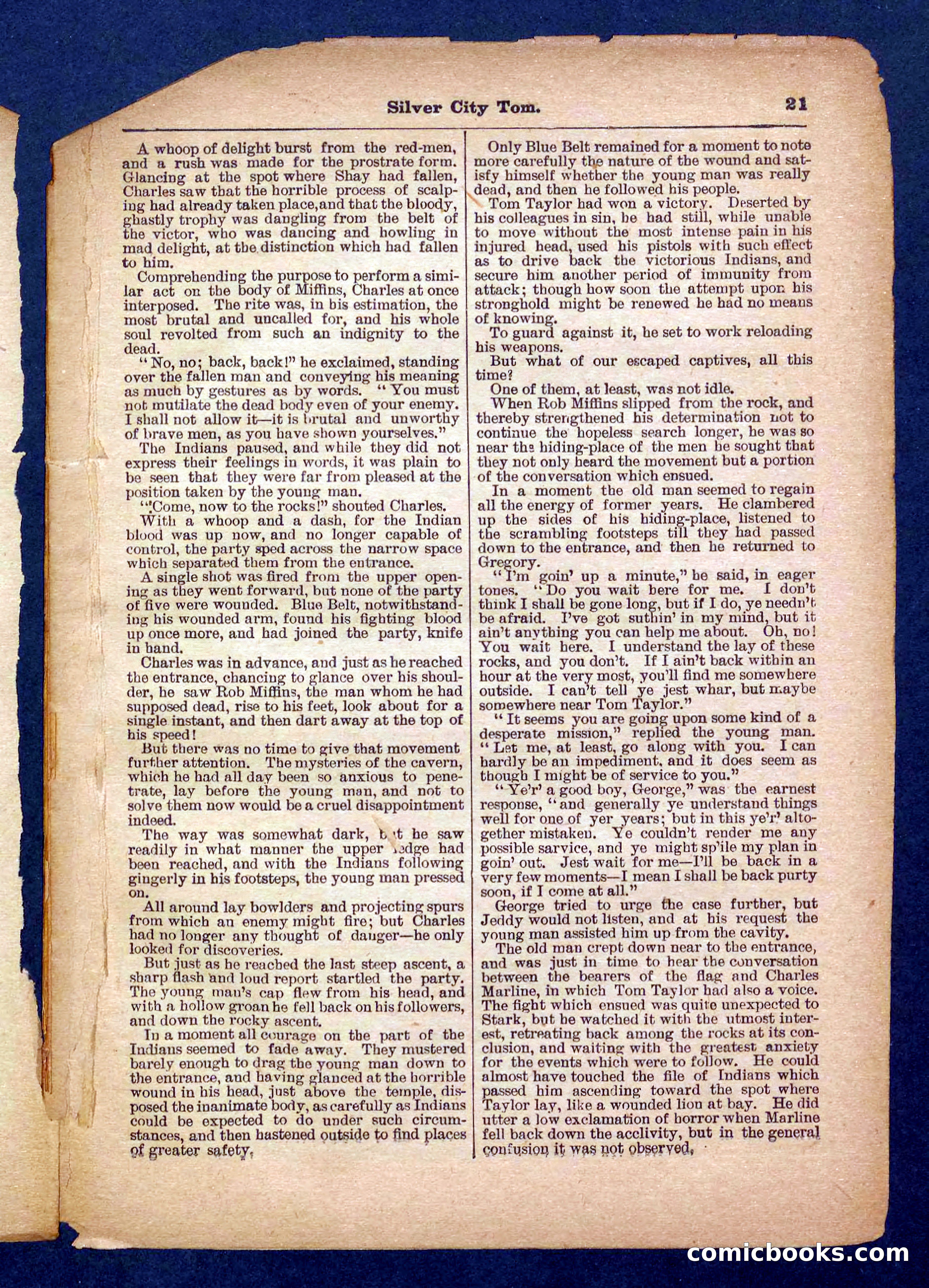 Beadle's Pocket Library No. 484 — page 21 of 32
