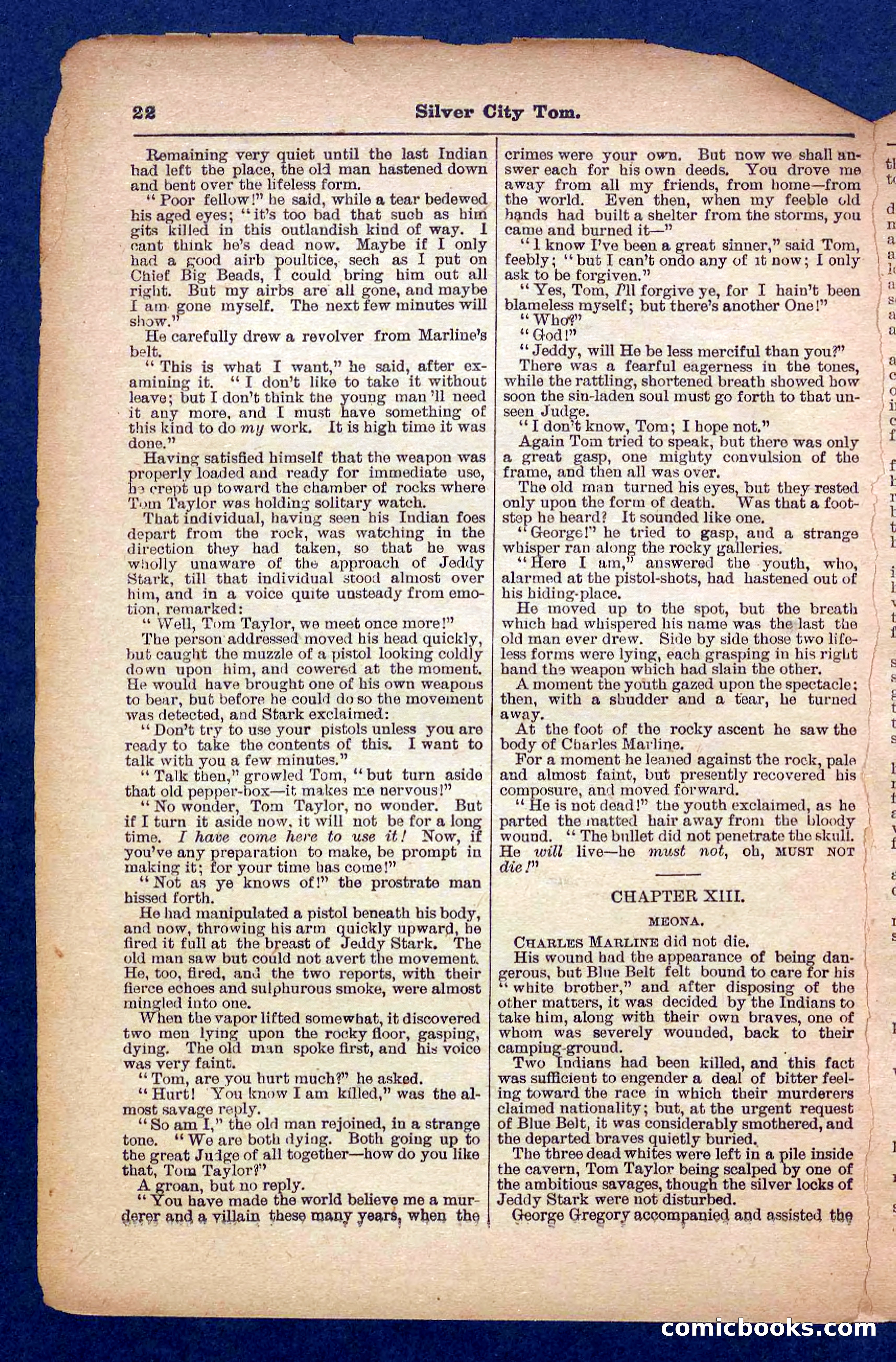 Beadle's Pocket Library No. 484 — page 22 of 32