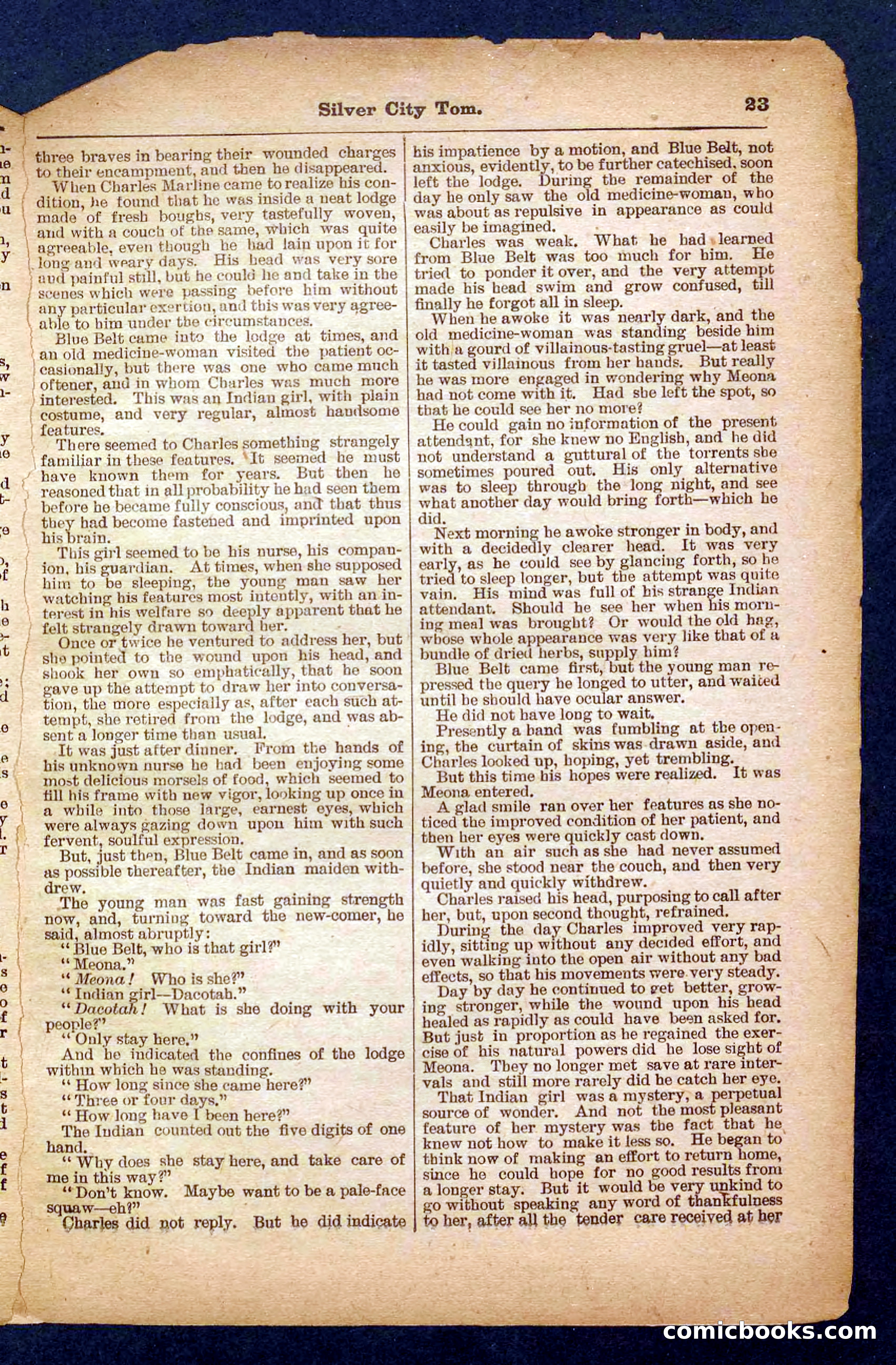 Beadle's Pocket Library No. 484 — page 23 of 32