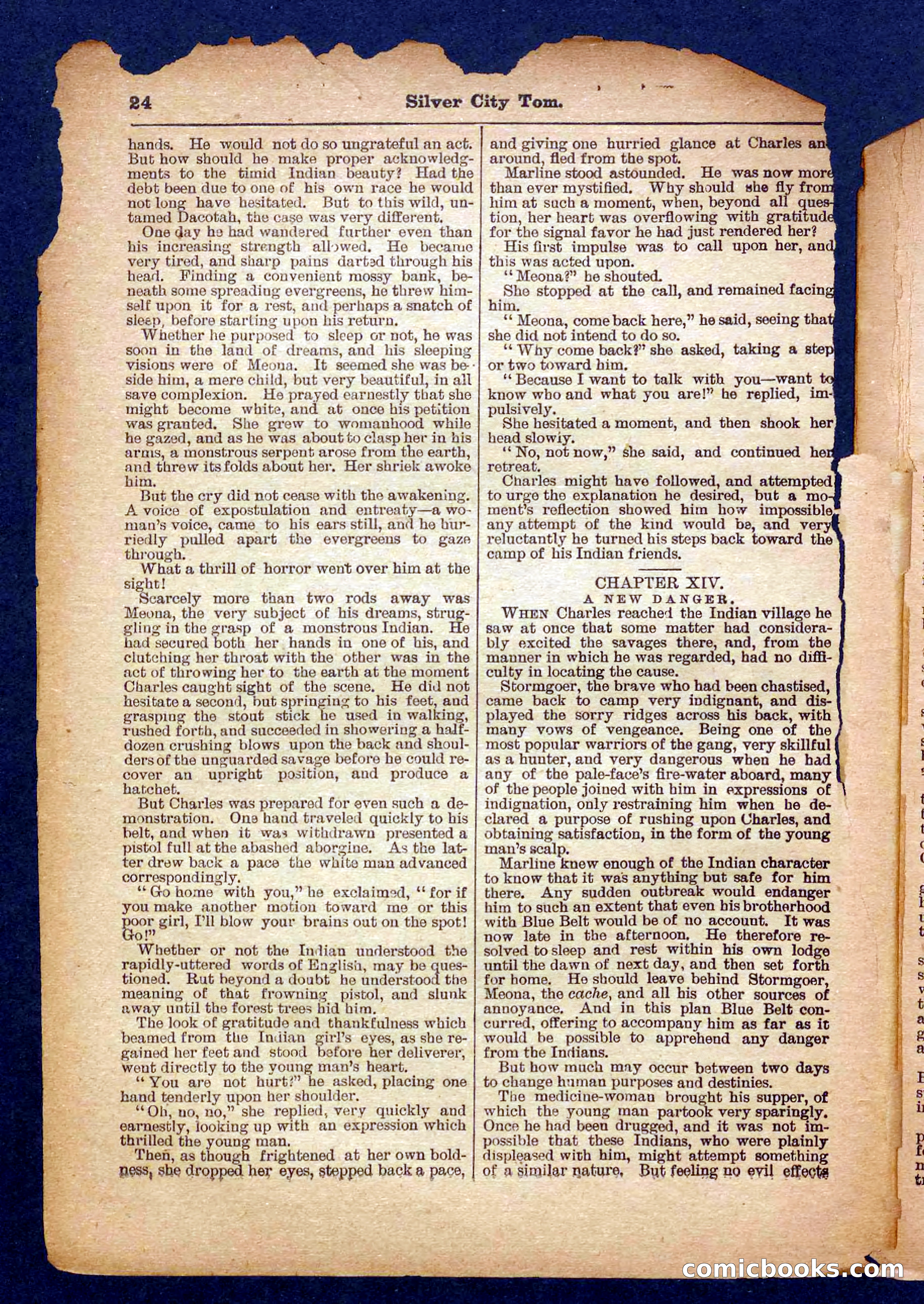 Beadle's Pocket Library No. 484 — page 24 of 32