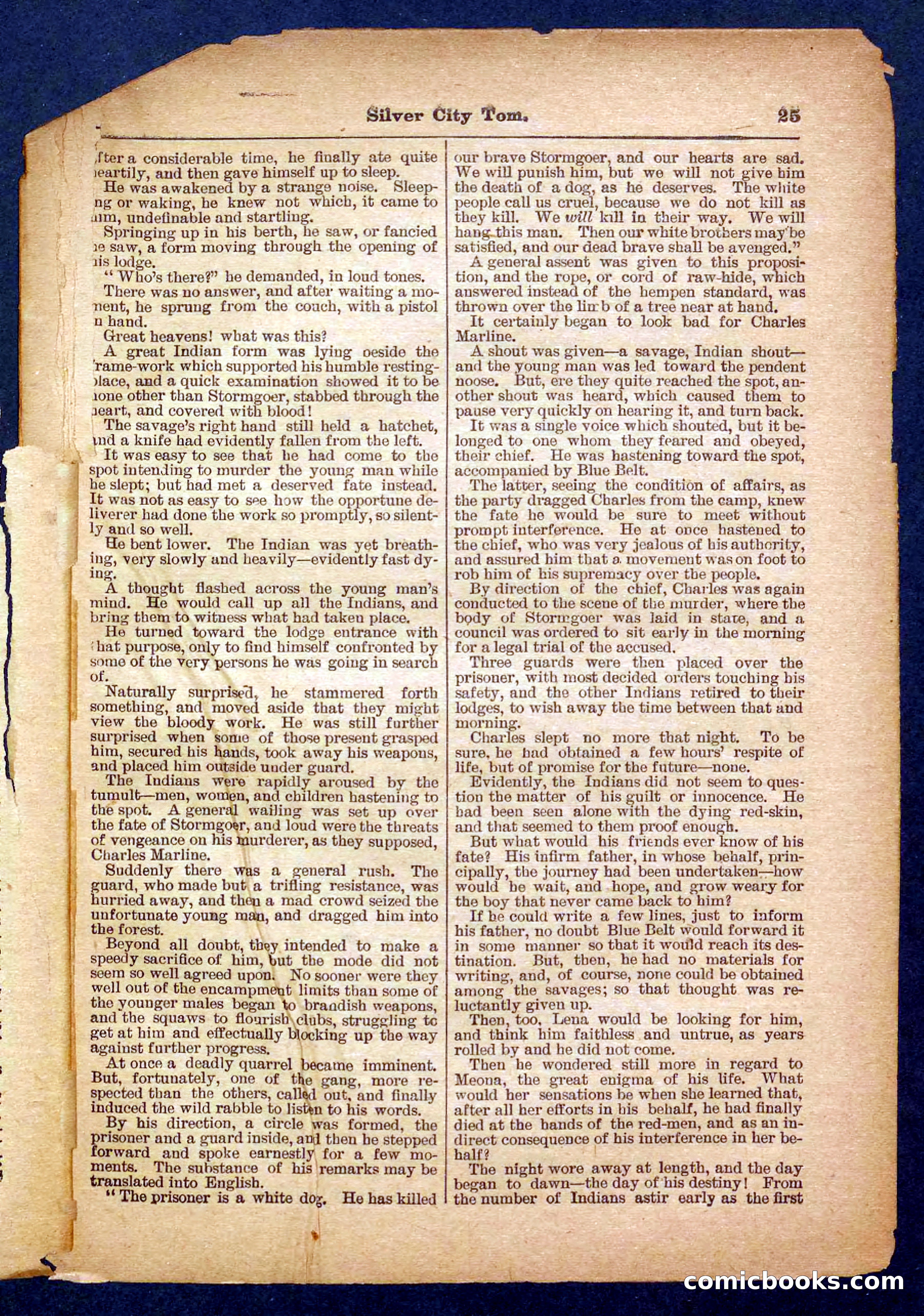 Beadle's Pocket Library No. 484 — page 25 of 32