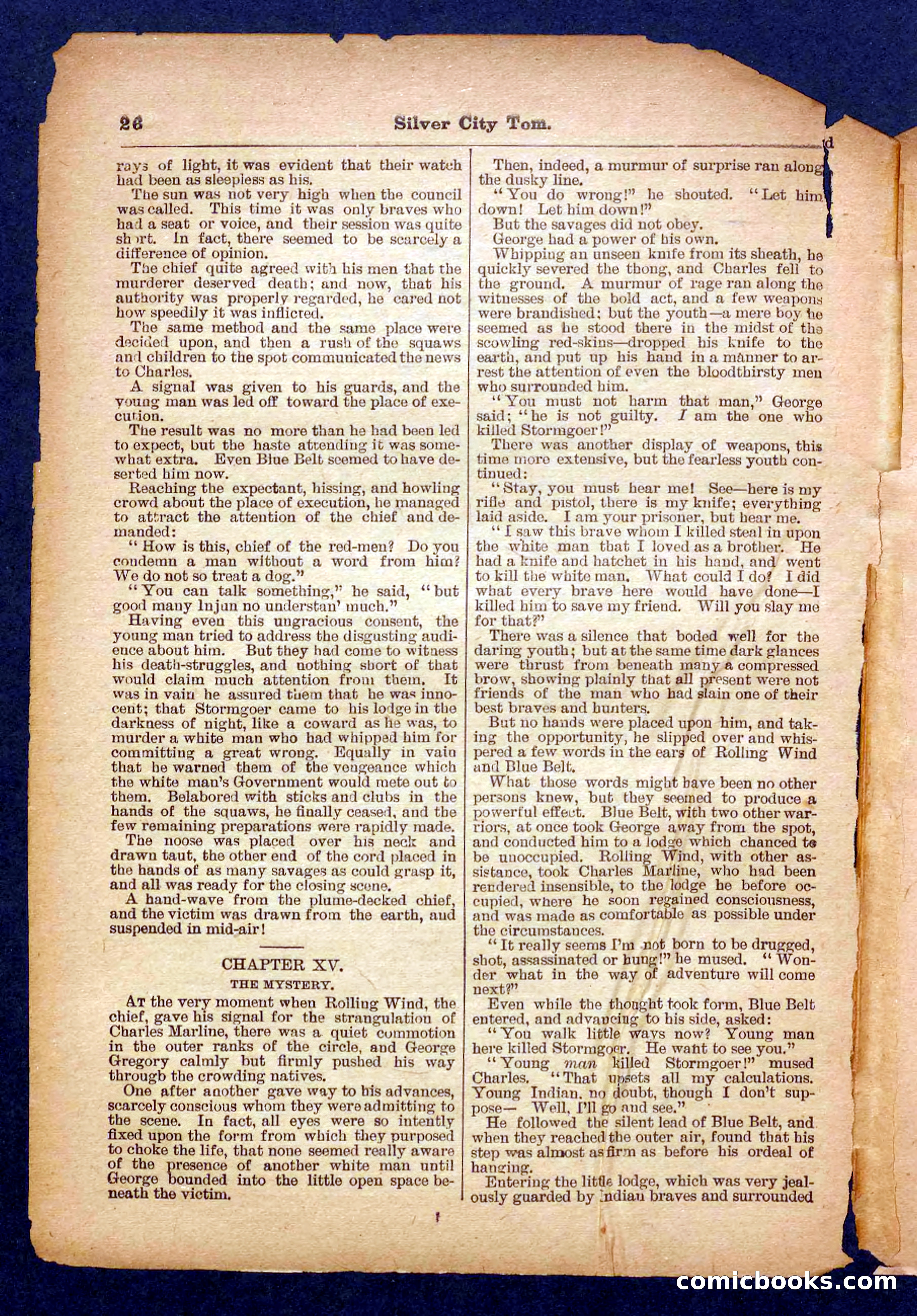 Beadle's Pocket Library No. 484 — page 26 of 32