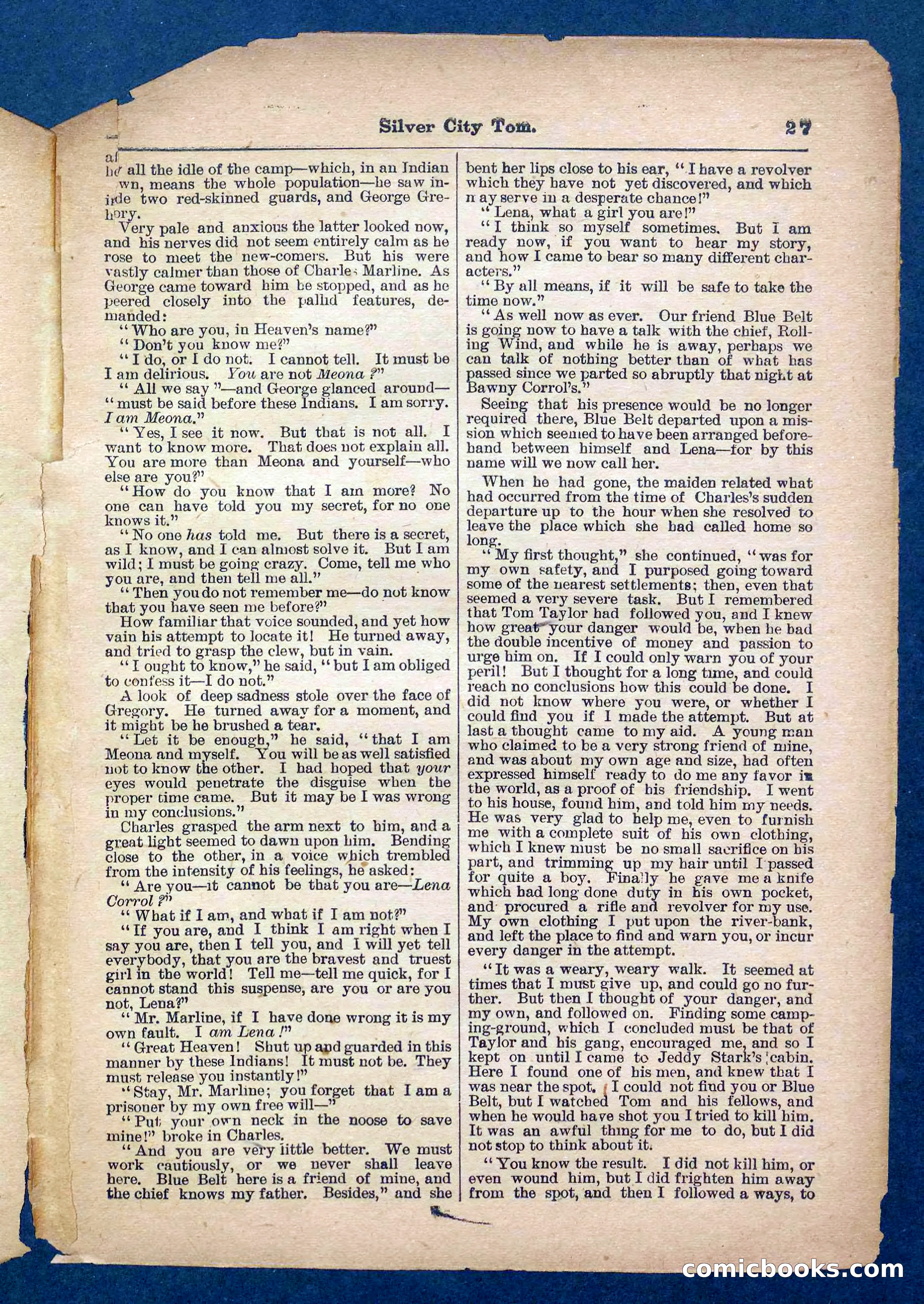Beadle's Pocket Library No. 484 — page 27 of 32