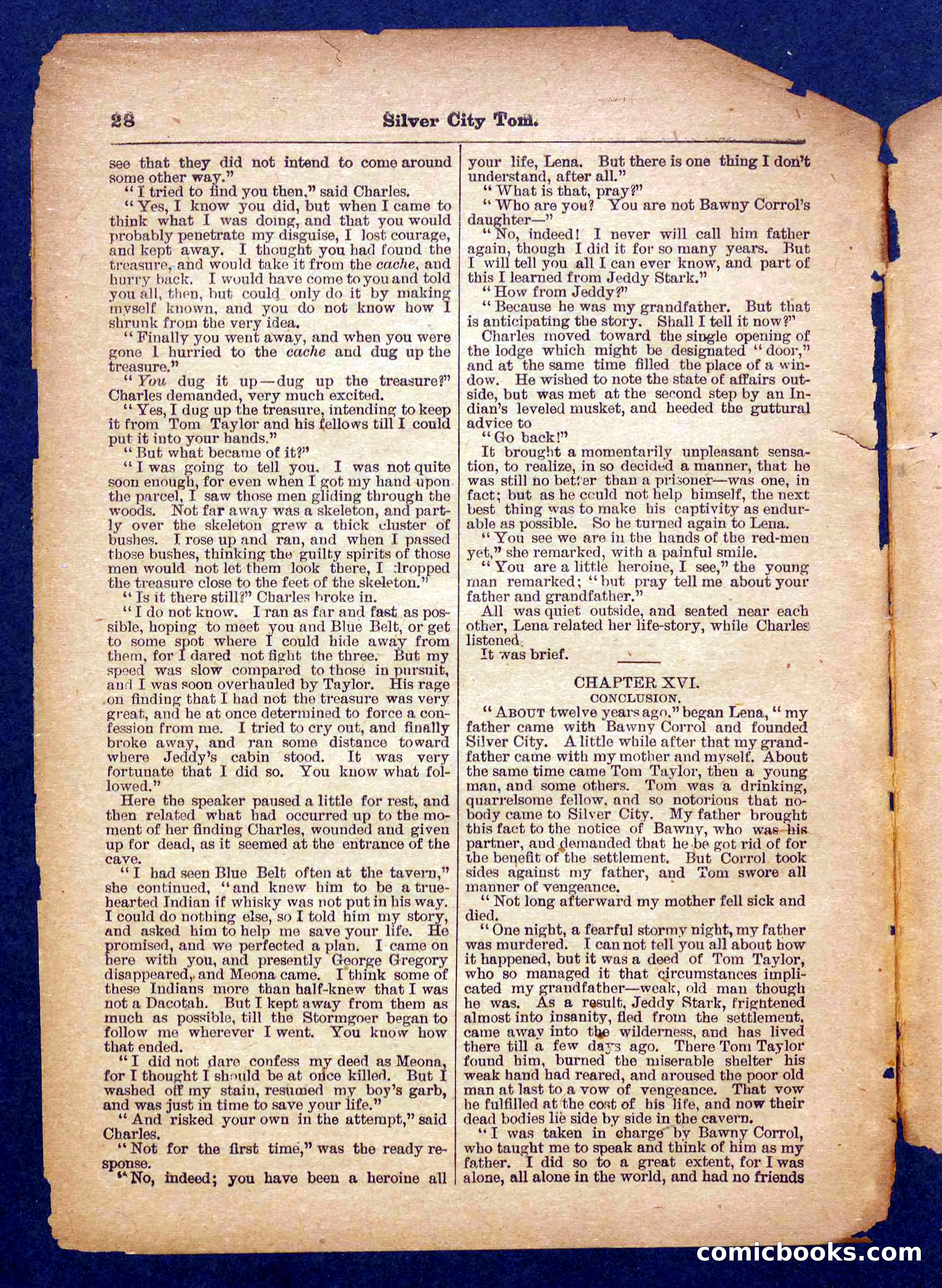 Beadle's Pocket Library No. 484 — page 28 of 32