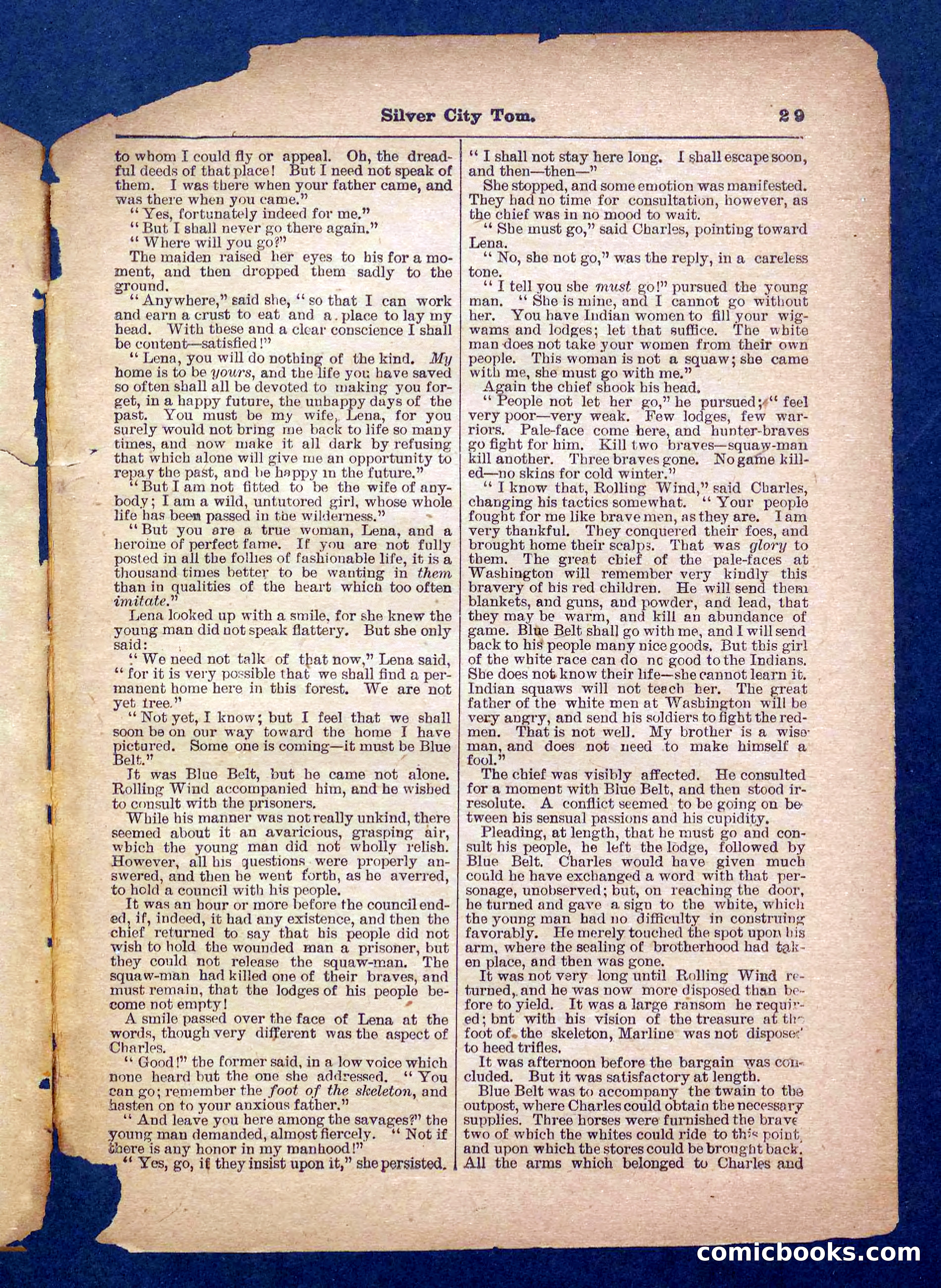 Beadle's Pocket Library No. 484 — page 29 of 32