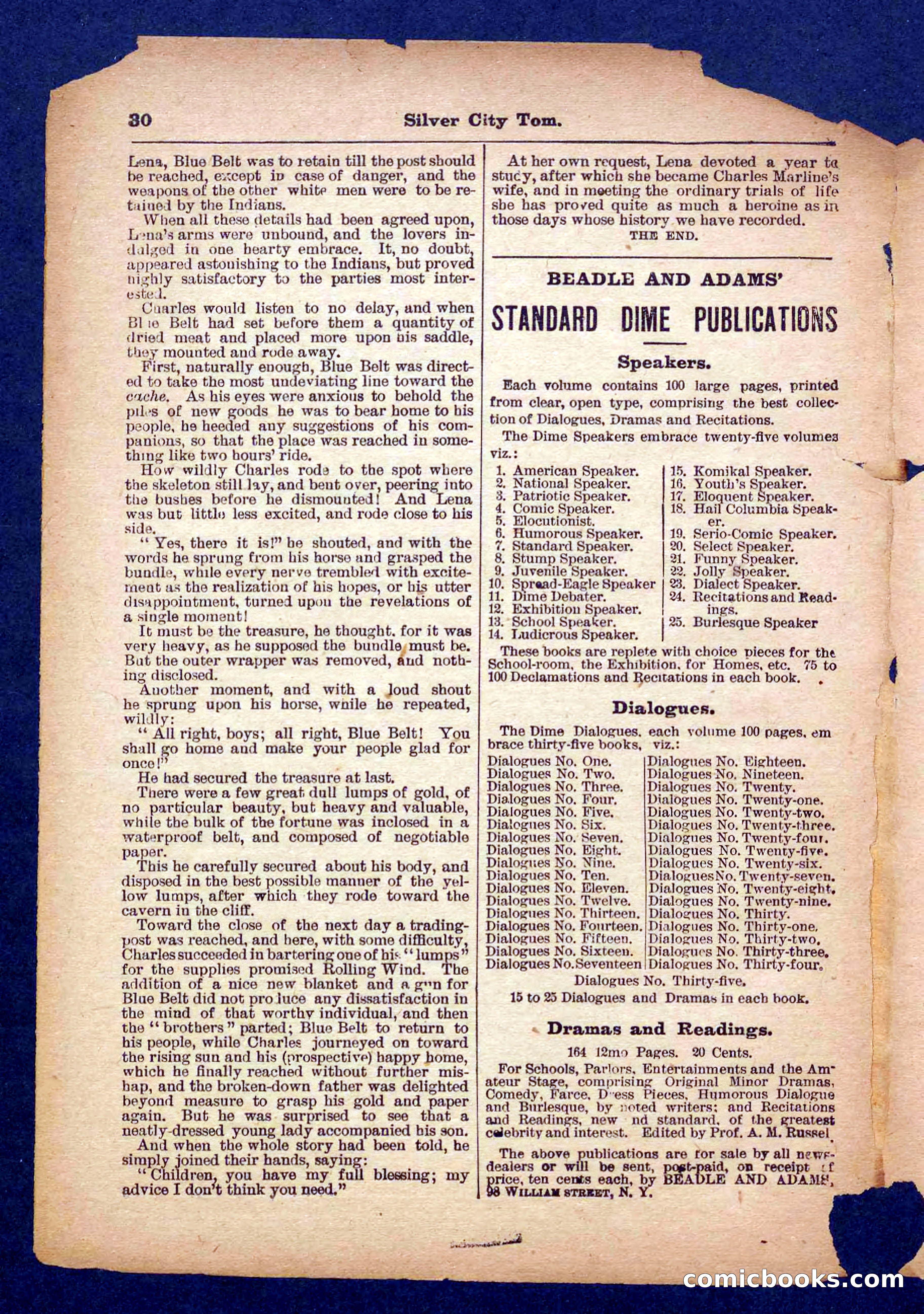 Beadle's Pocket Library No. 484 — page 30 of 32