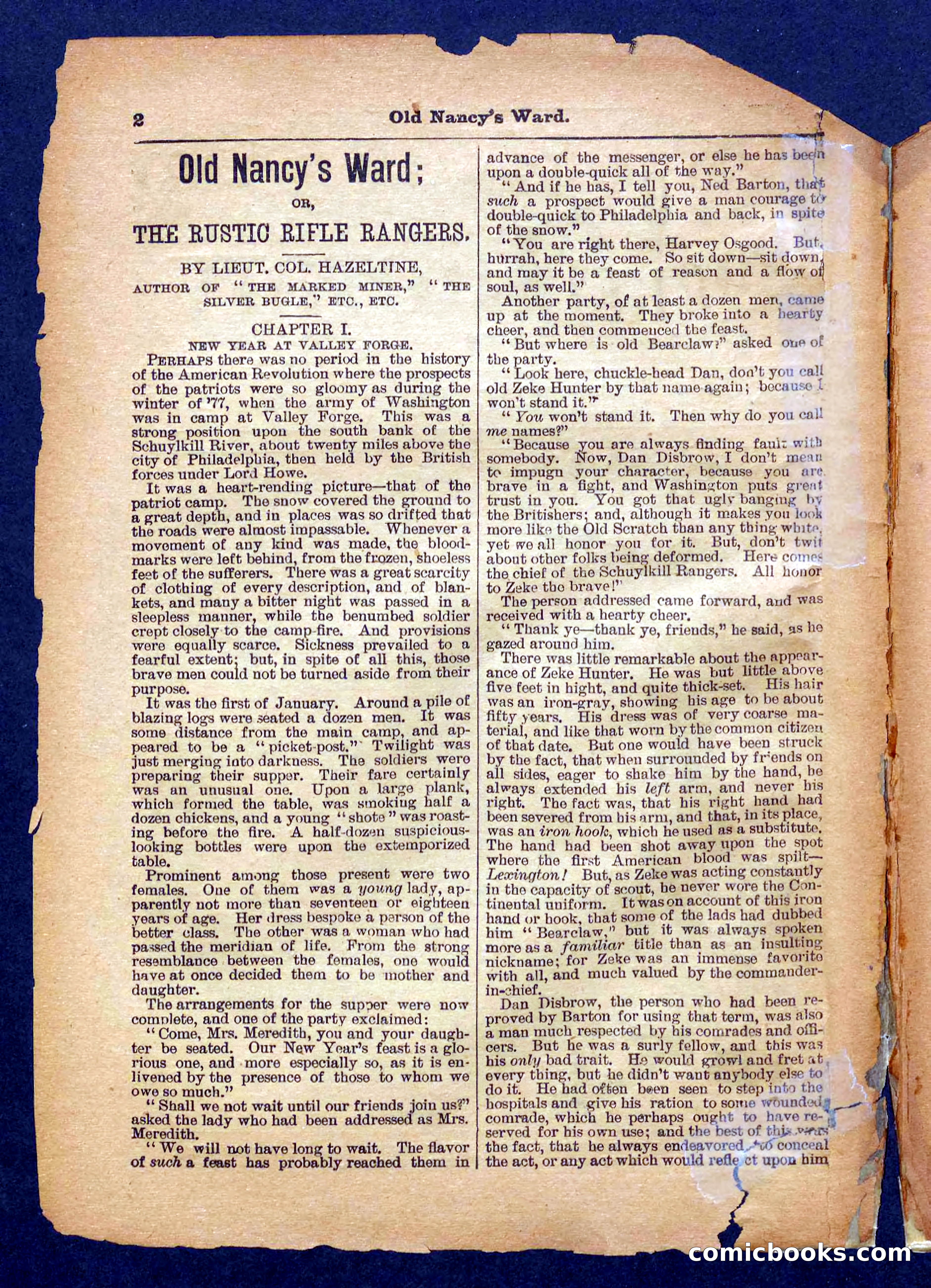 Beadle's Pocket Library No. 485 — page 2 of 32