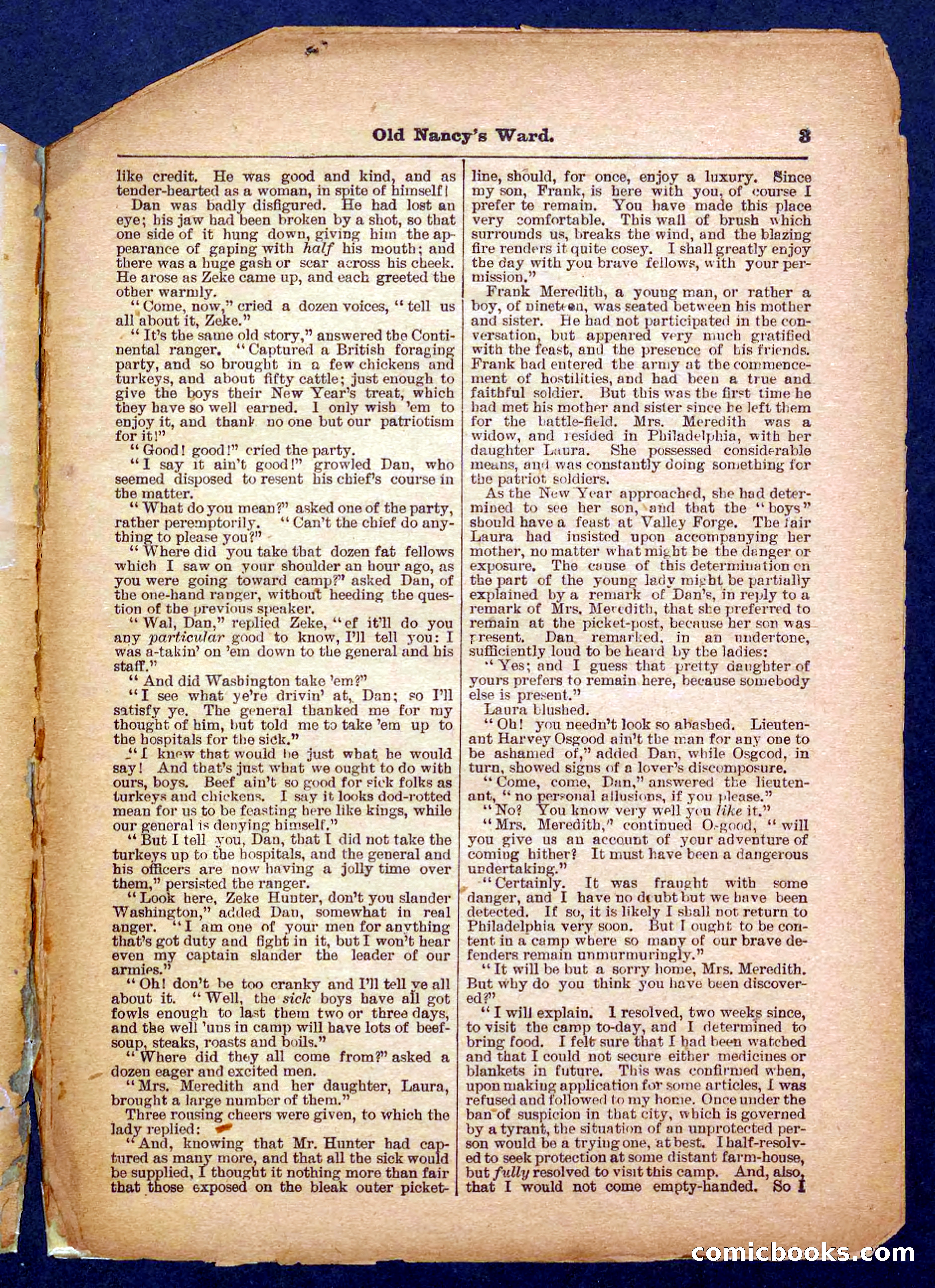 Beadle's Pocket Library No. 485 — page 3 of 32