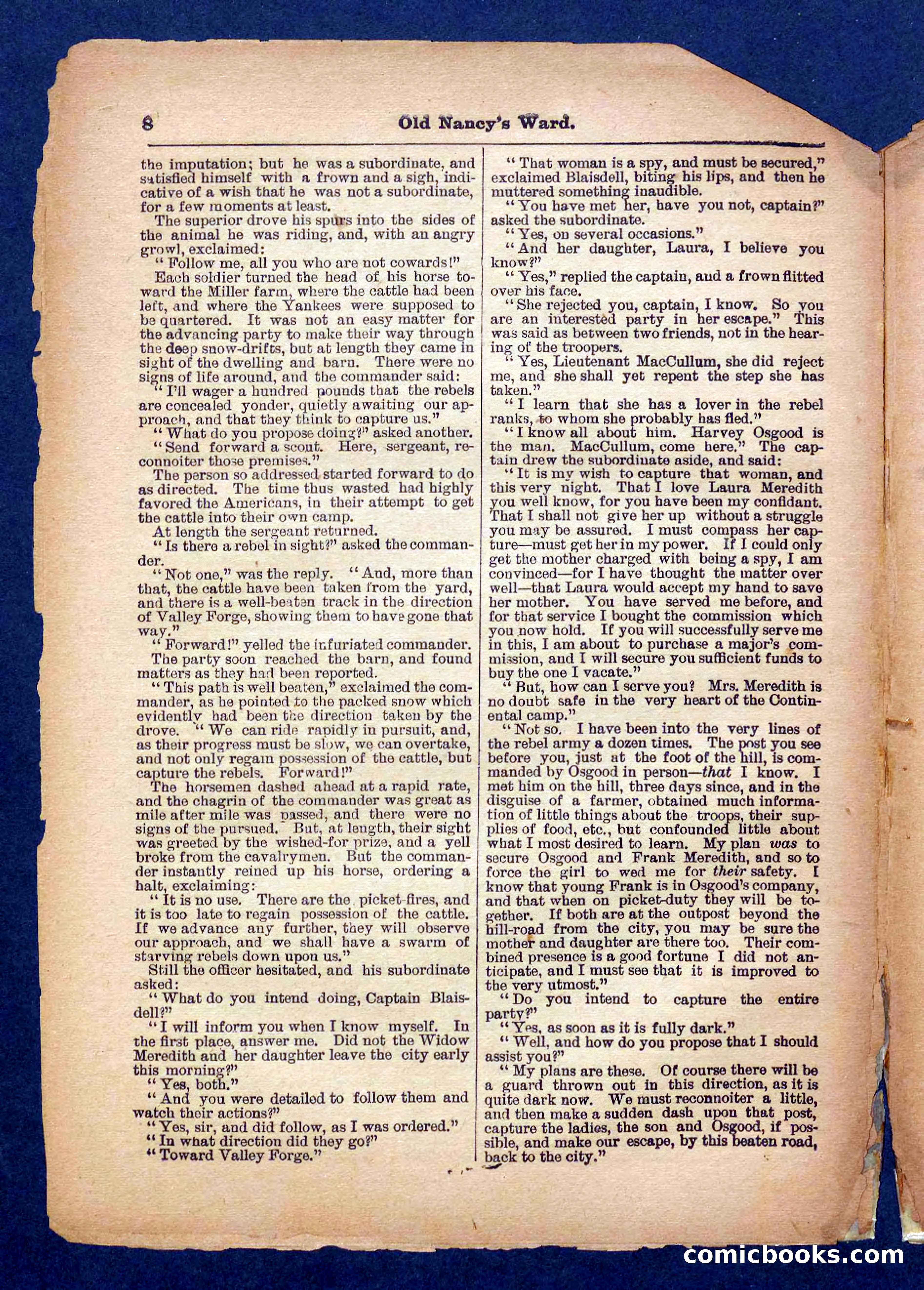 Beadle's Pocket Library No. 485 — page 8 of 32