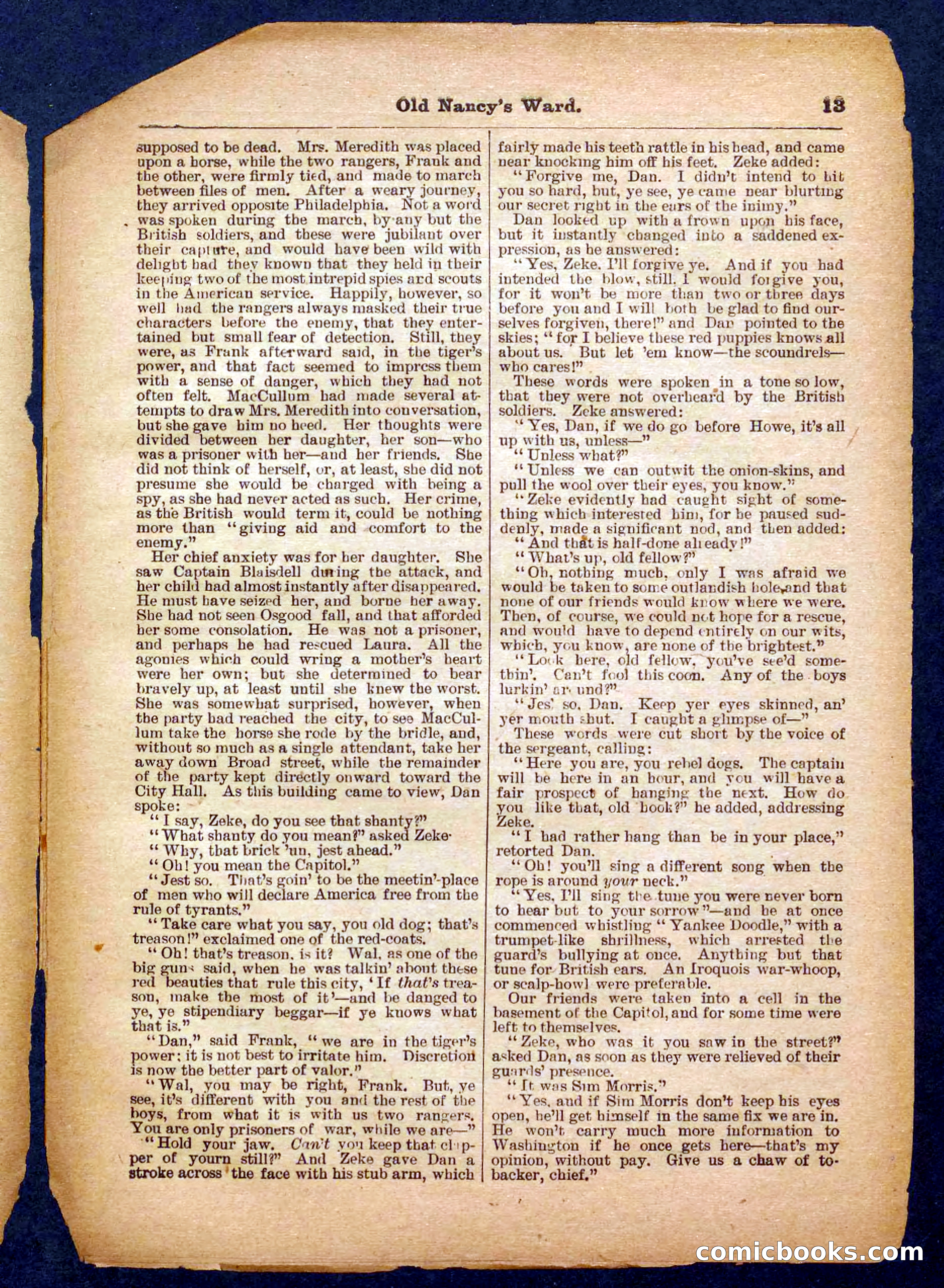 Beadle's Pocket Library No. 485 — page 13 of 32
