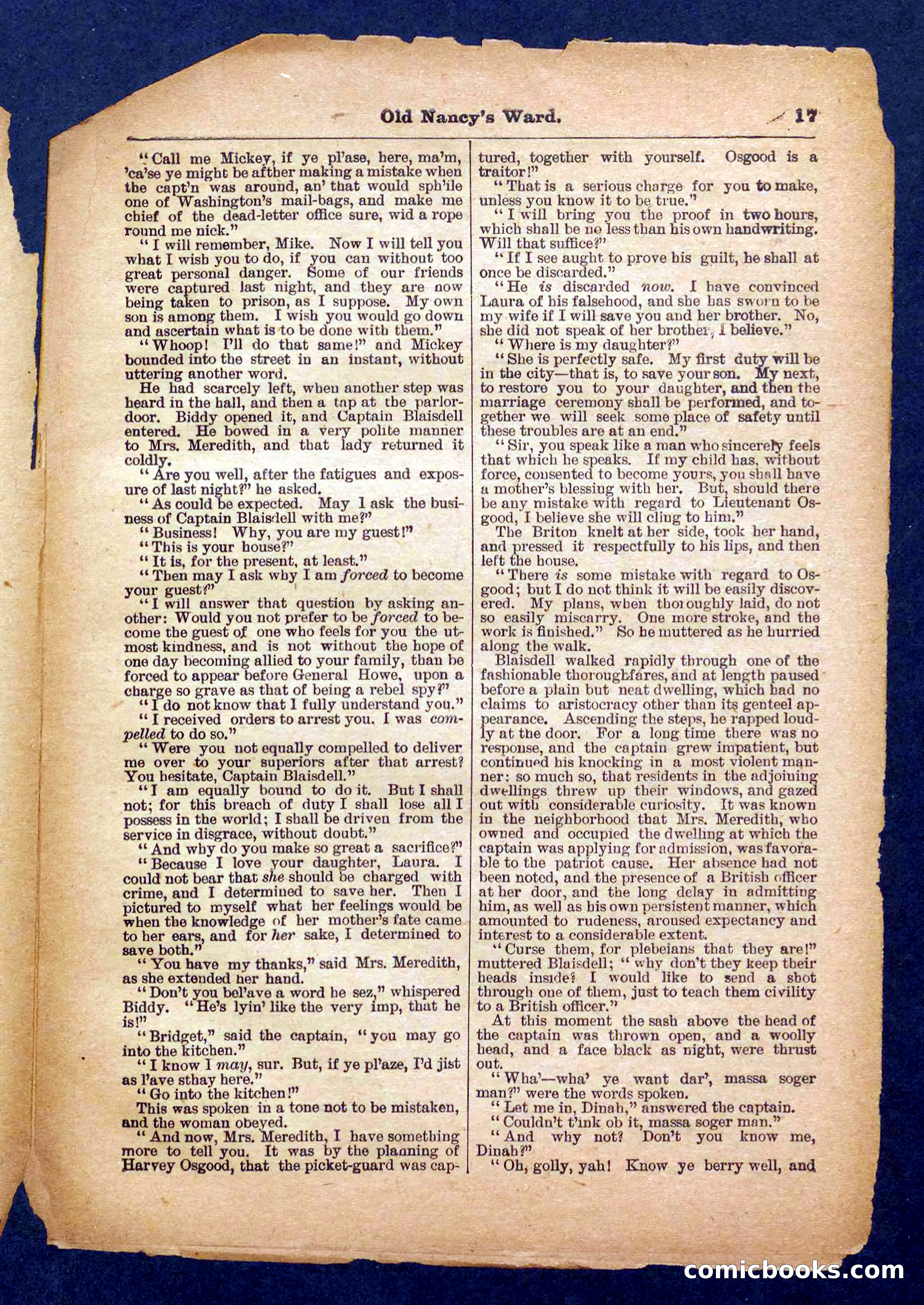 Beadle's Pocket Library No. 485 — page 17 of 32