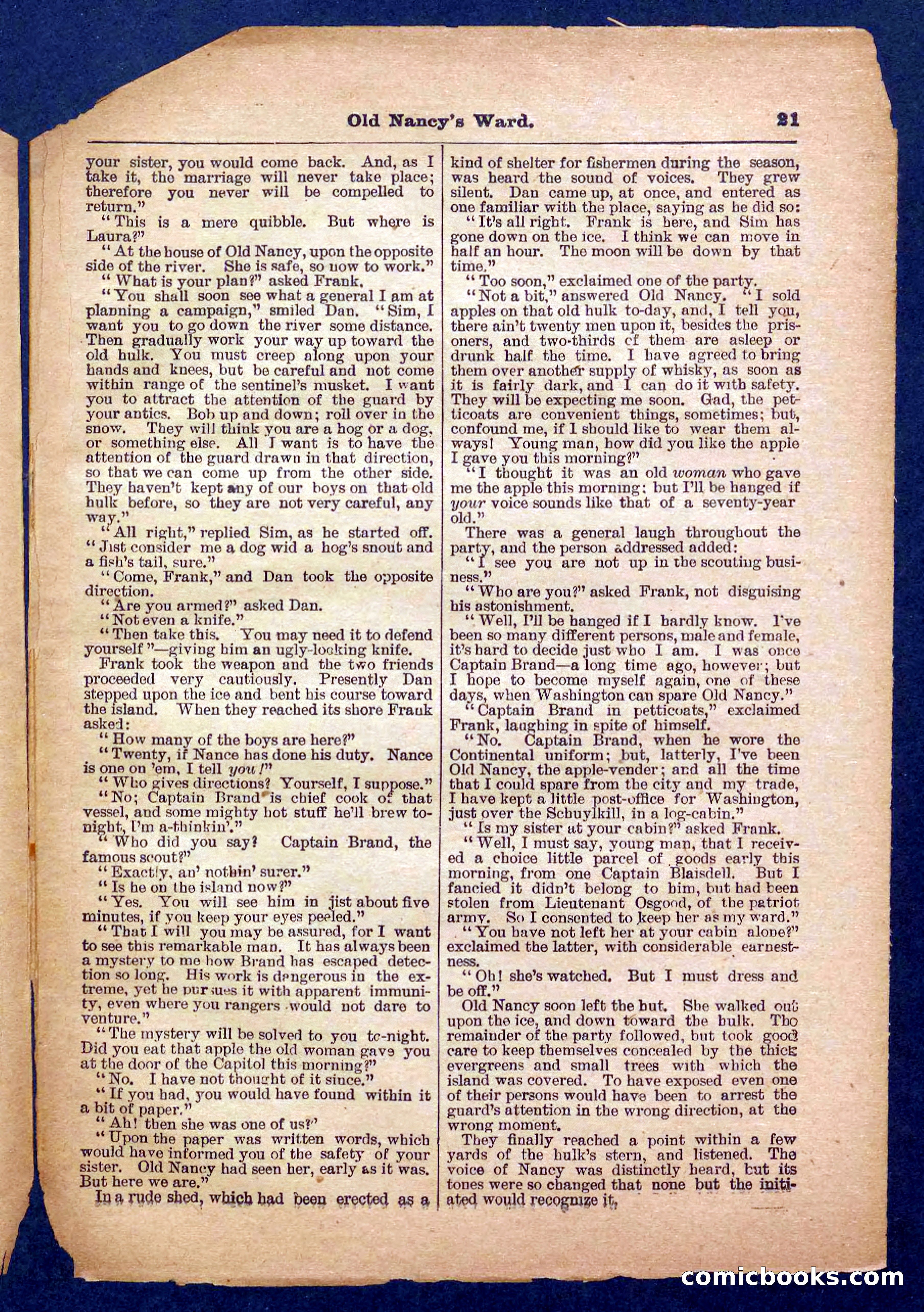 Beadle's Pocket Library No. 485 — page 21 of 32