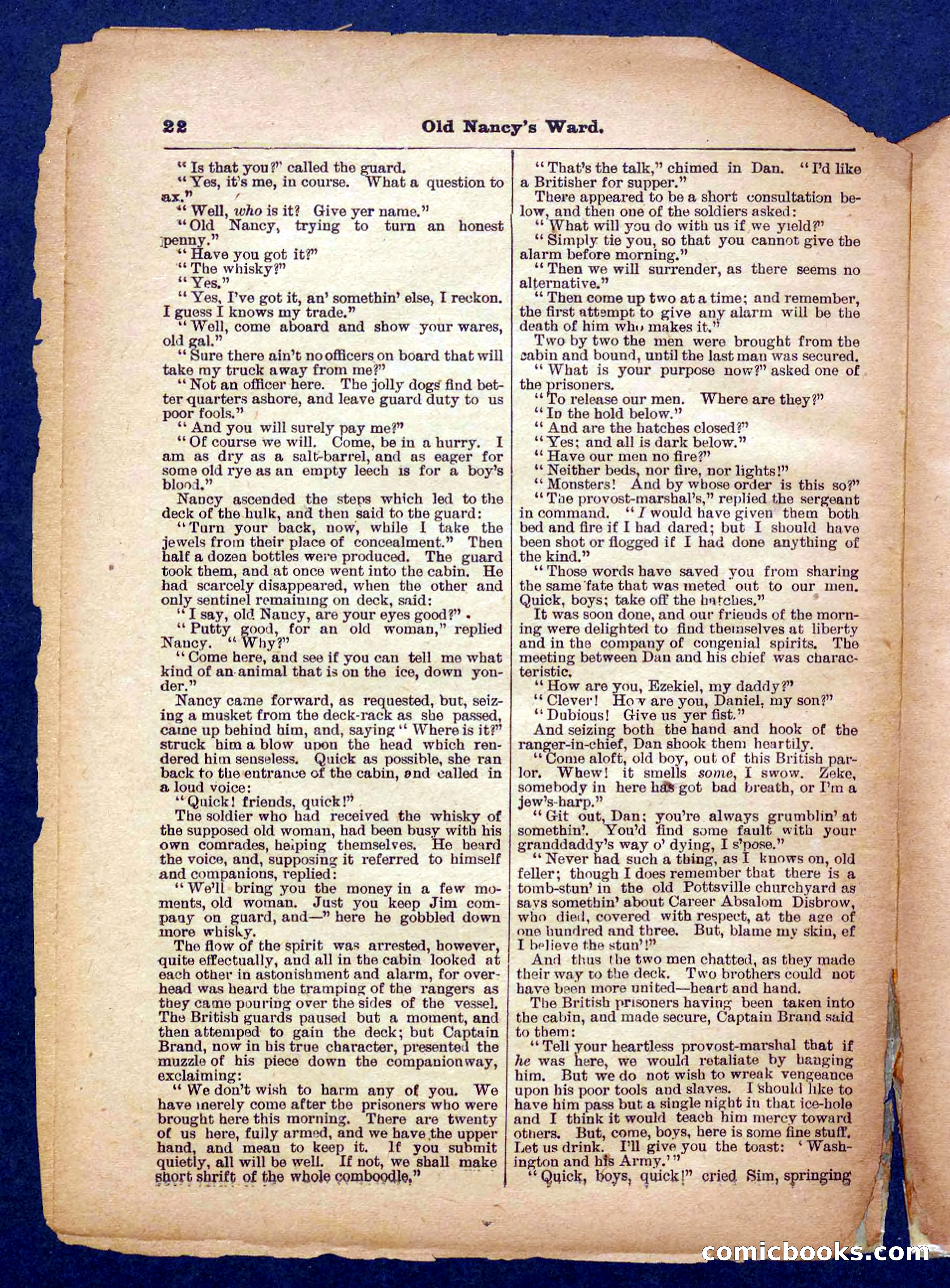 Beadle's Pocket Library No. 485 — page 22 of 32