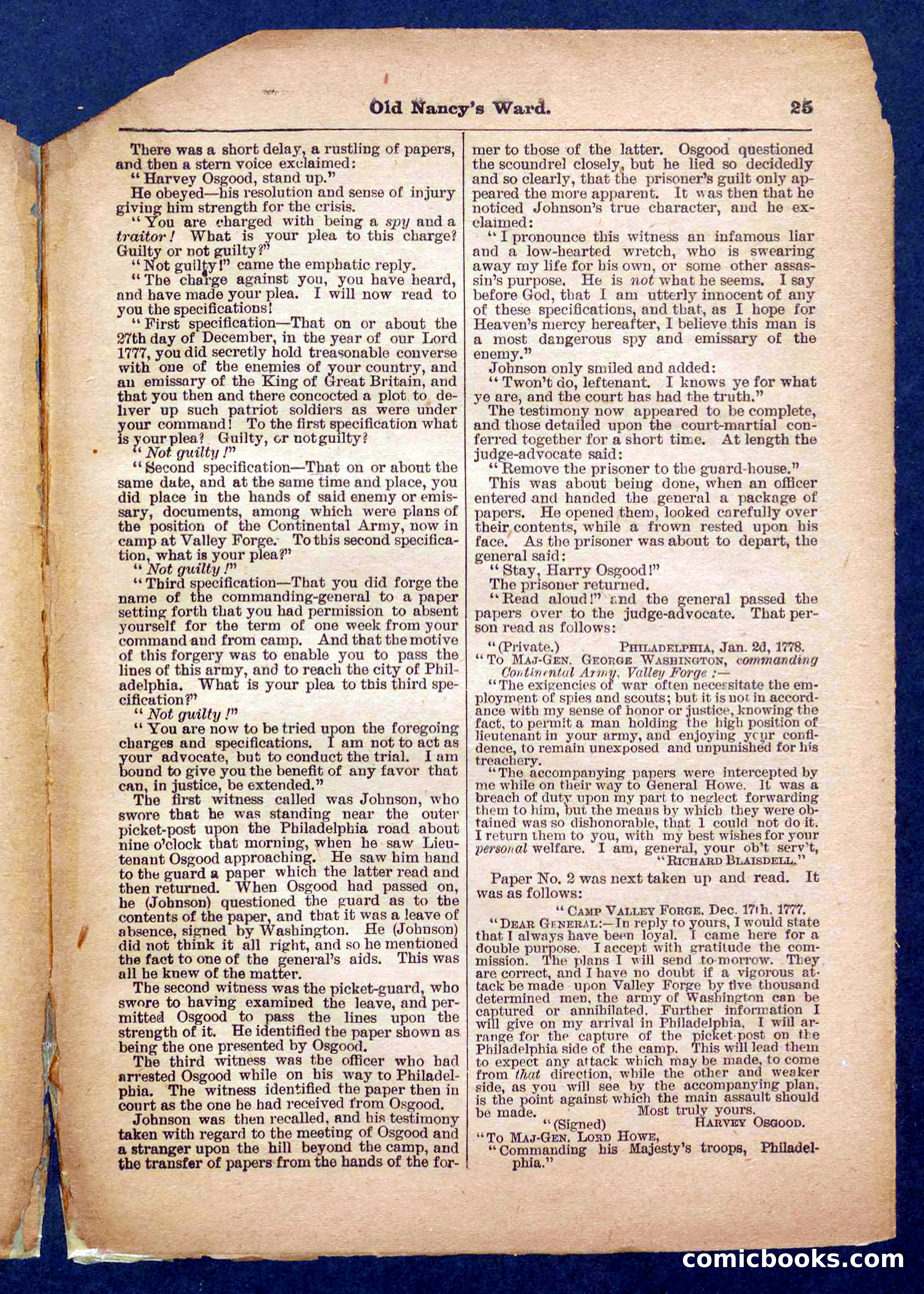 Beadle's Pocket Library No. 485 — page 25 of 32