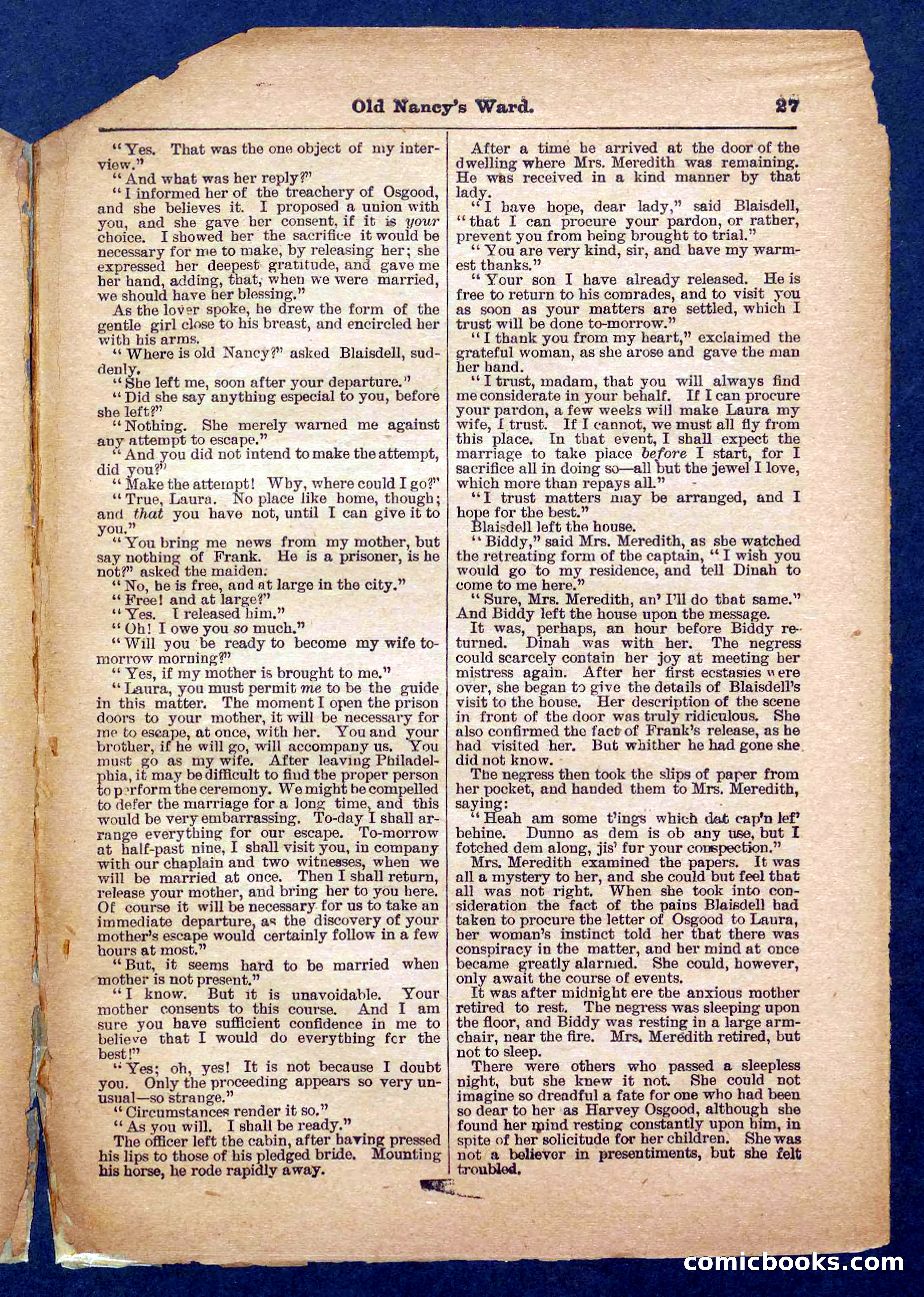 Beadle's Pocket Library No. 485 — page 27 of 32