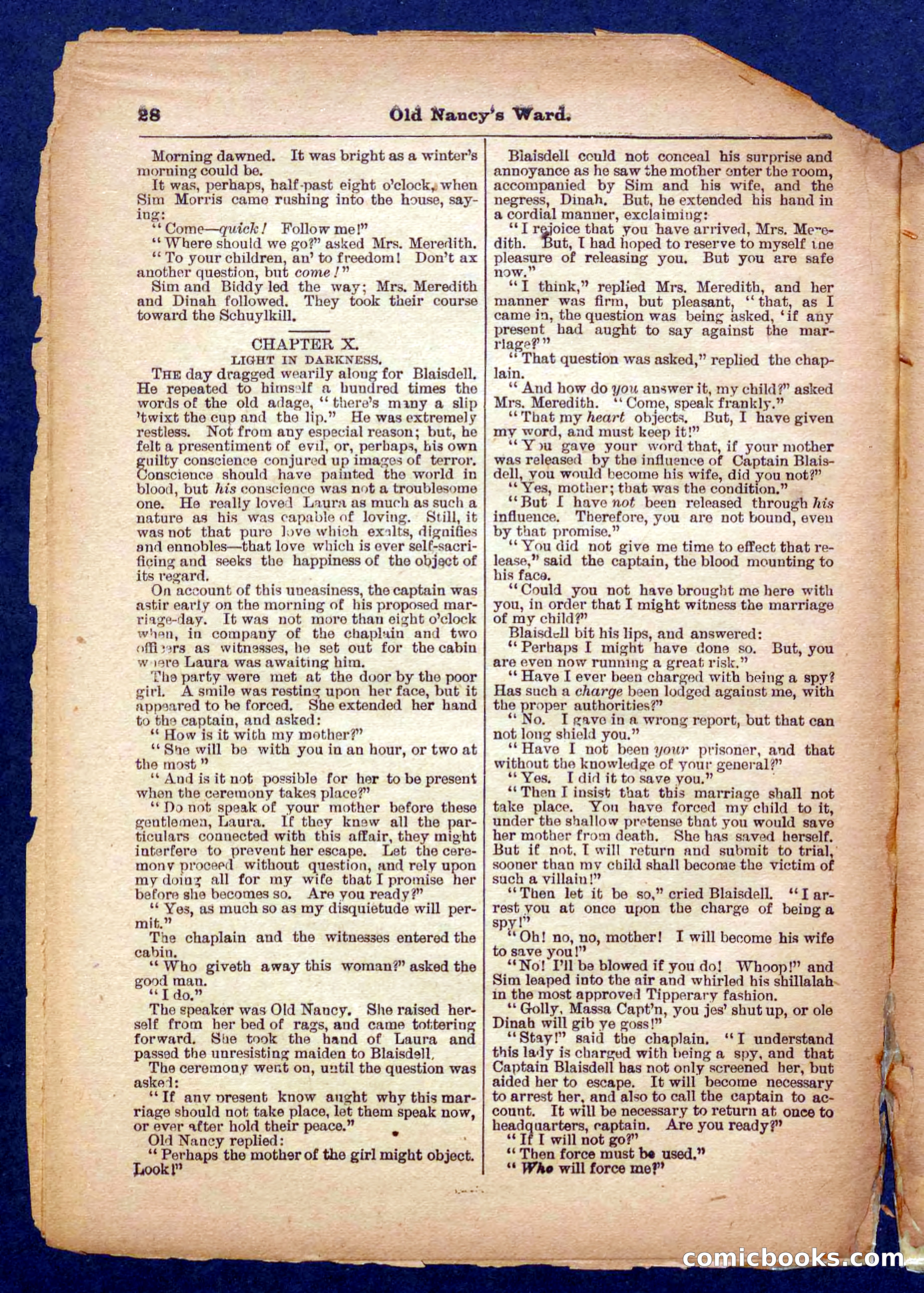 Beadle's Pocket Library No. 485 — page 28 of 32