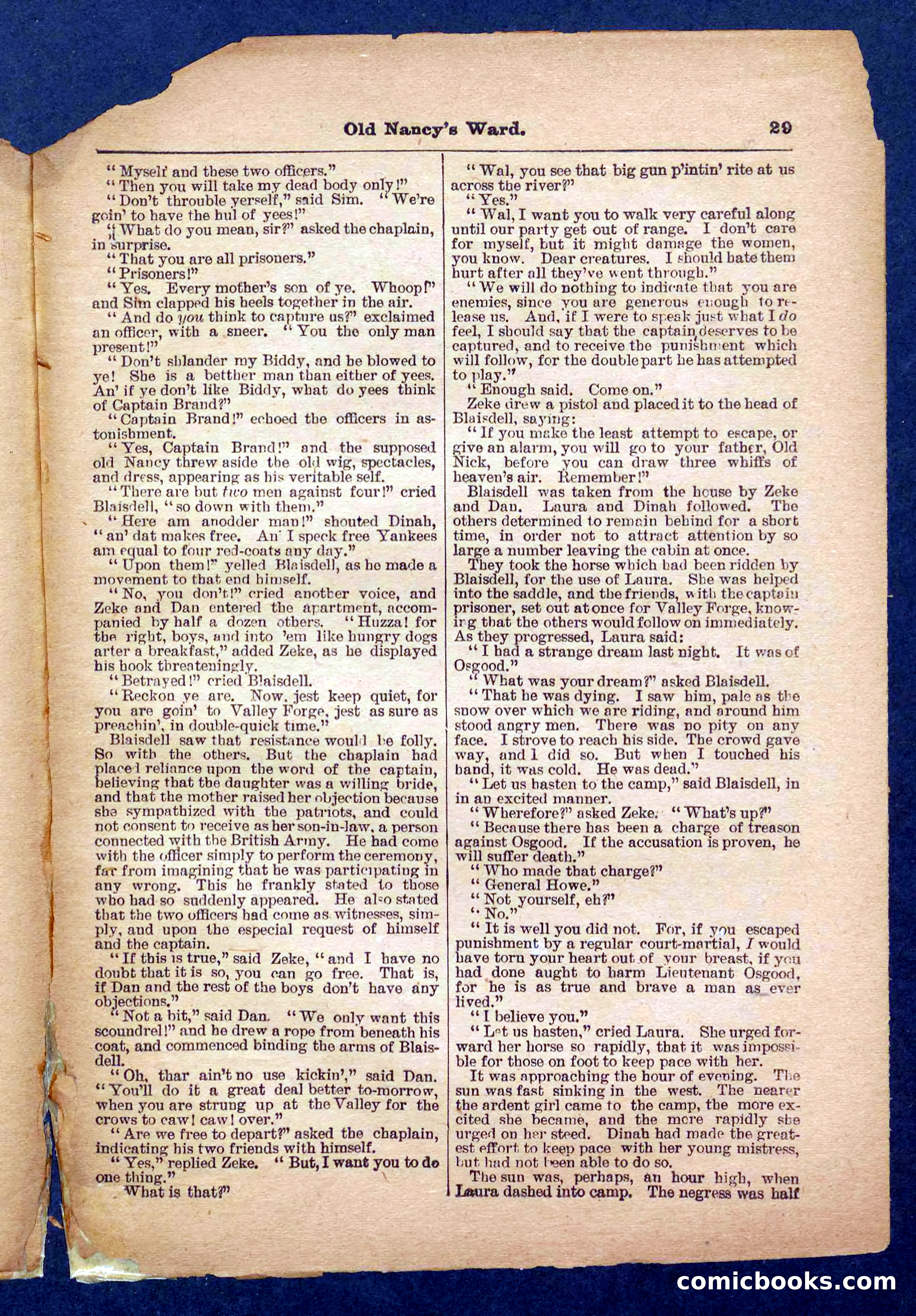 Beadle's Pocket Library No. 485 — page 29 of 32
