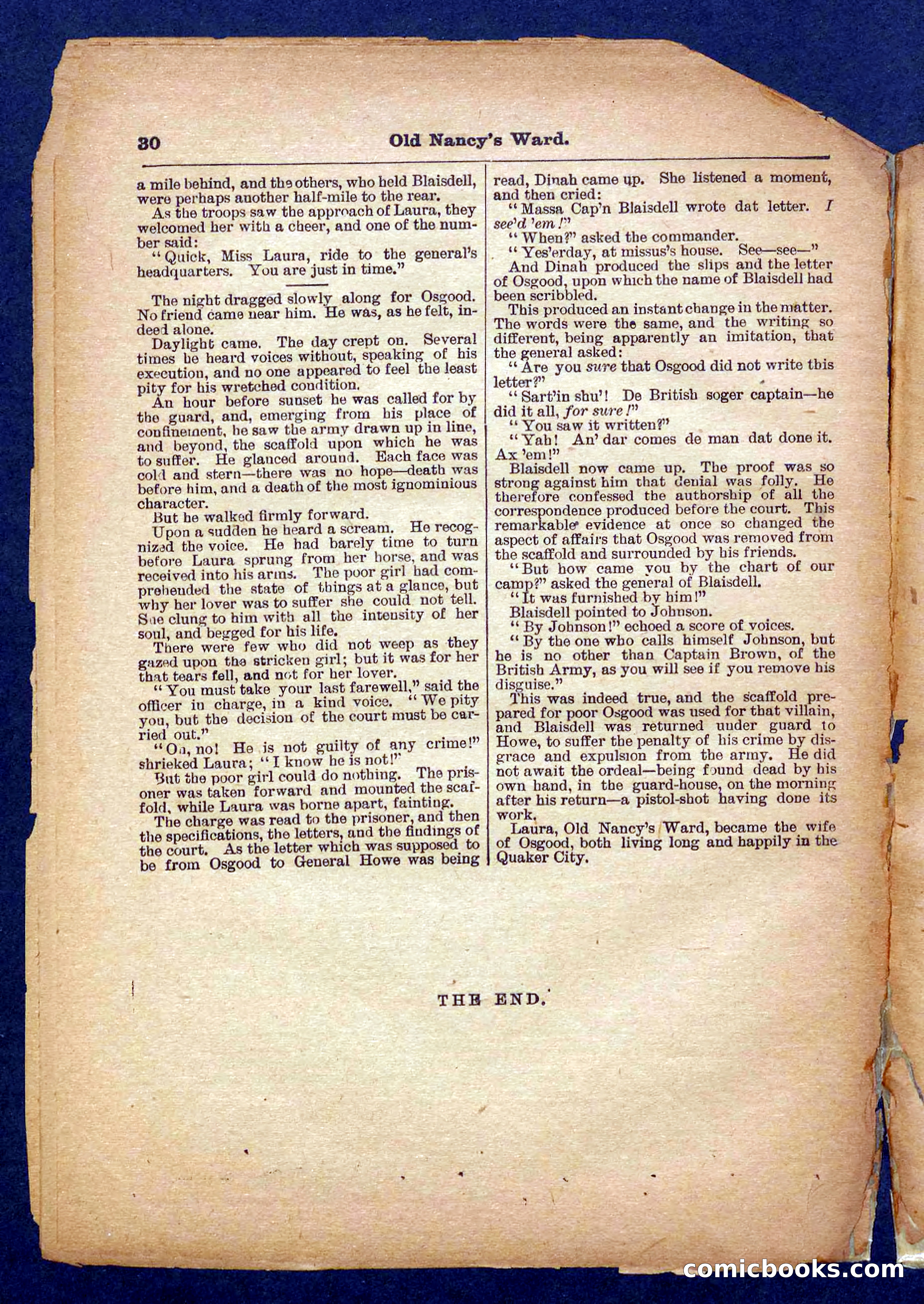 Beadle's Pocket Library No. 485 — page 30 of 32