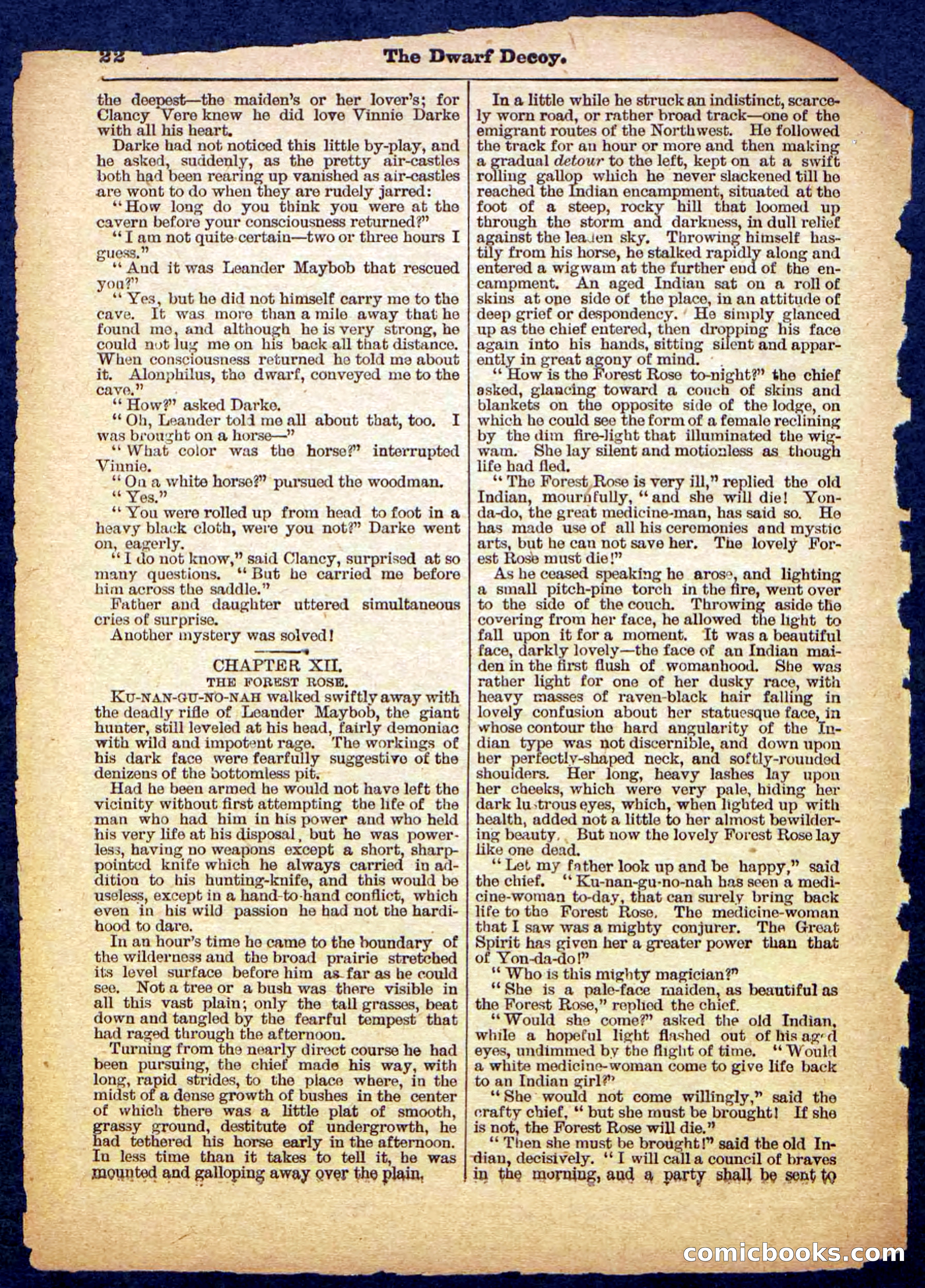 The Dwarf Decoy — page 22 of 32