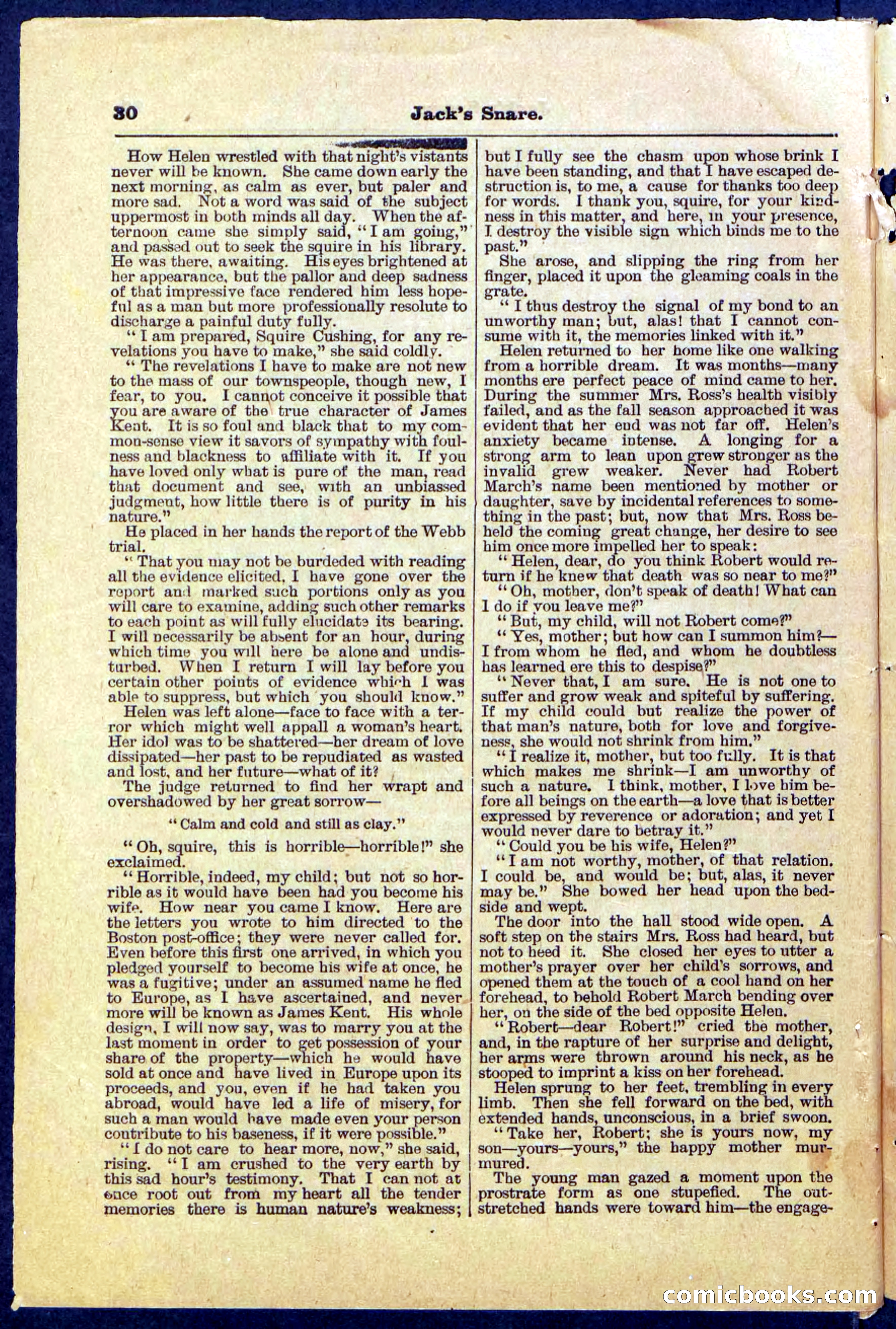 Beadle's Pocket Library No. 487: 'Jack's Snare' — page 30 of 32