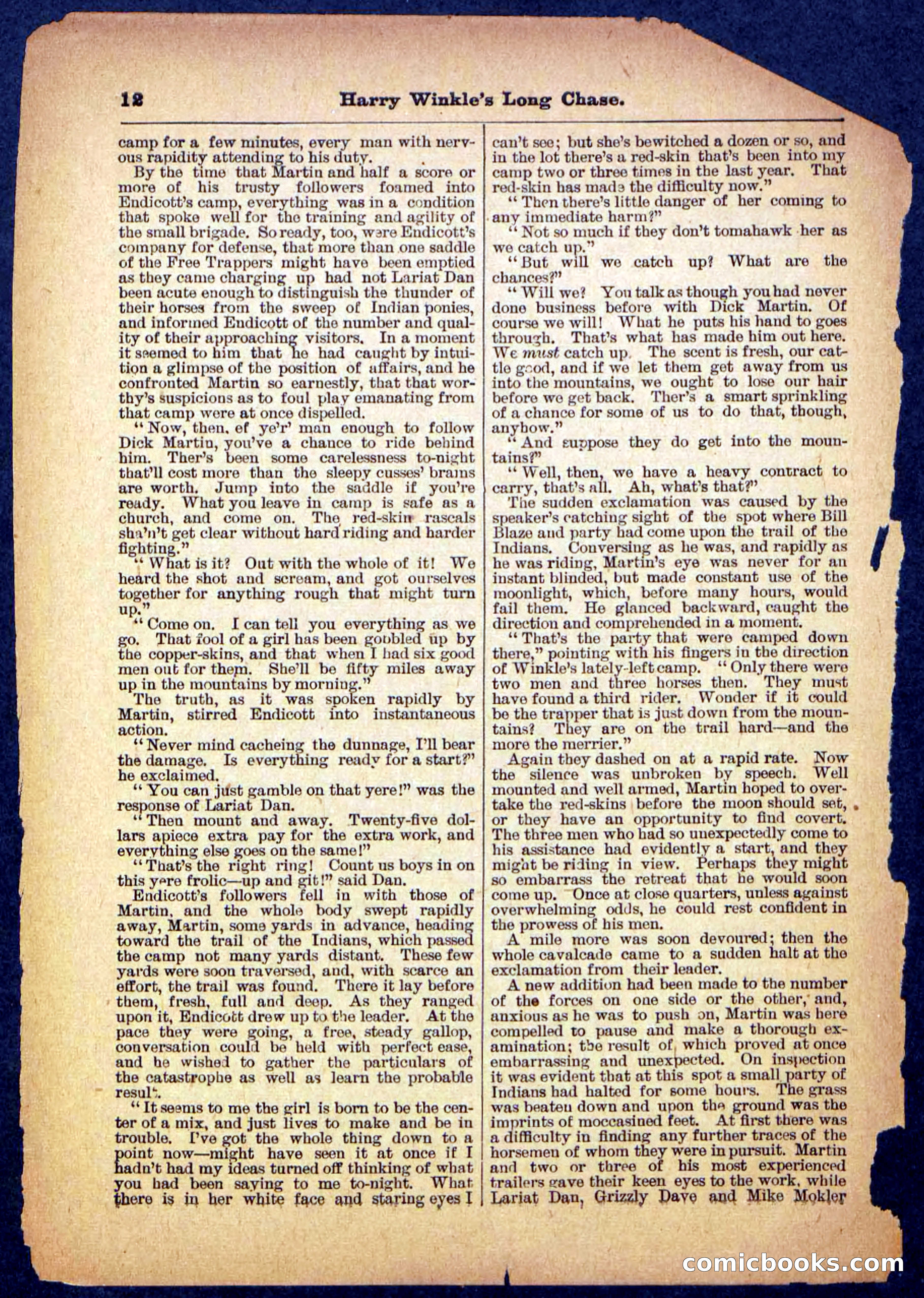 Beadle's Pocket Library, No. 488 — page 12 of 32