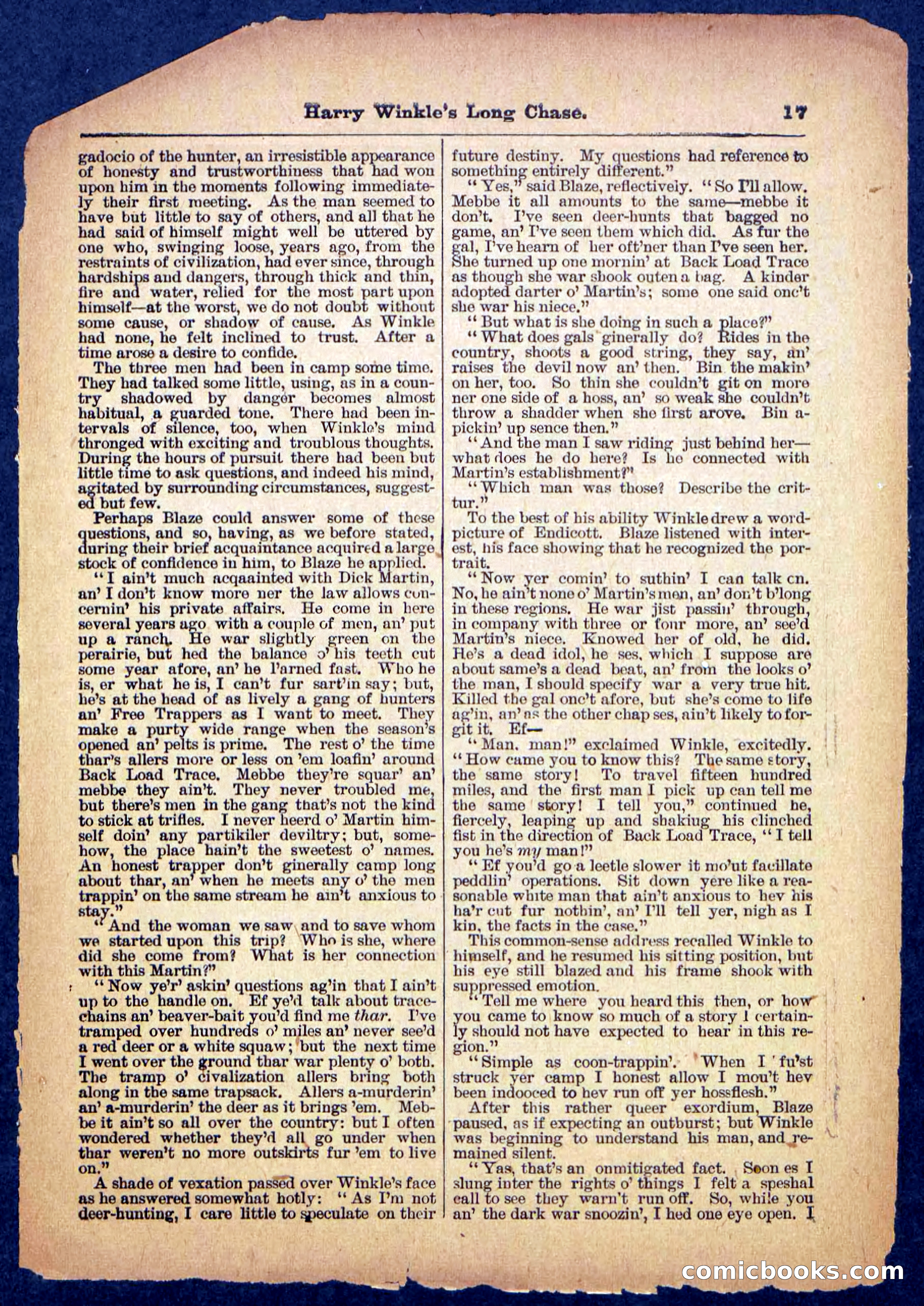 Beadle's Pocket Library, No. 488 — page 17 of 32