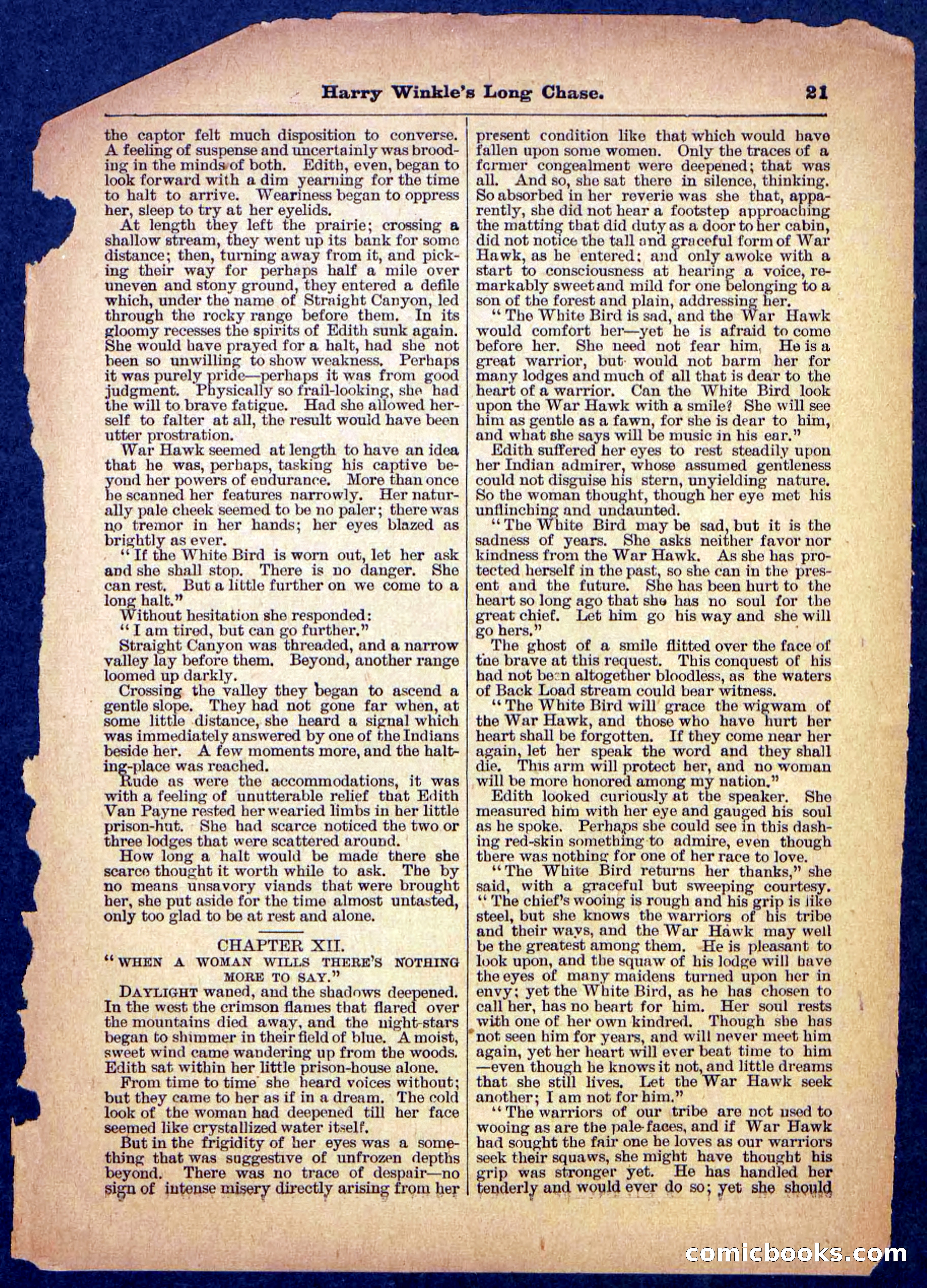 Beadle's Pocket Library, No. 488 — page 21 of 32