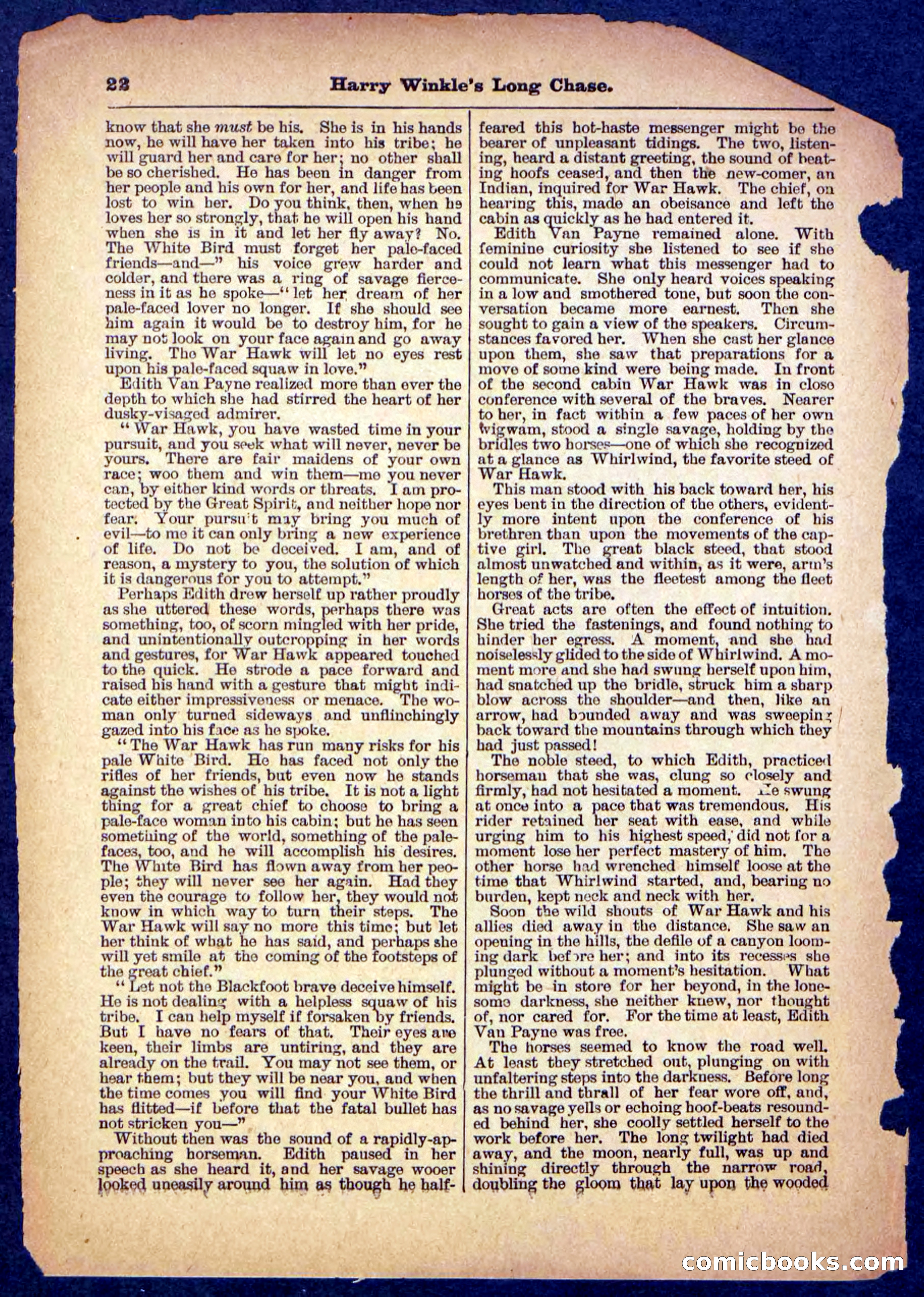 Beadle's Pocket Library, No. 488 — page 22 of 32