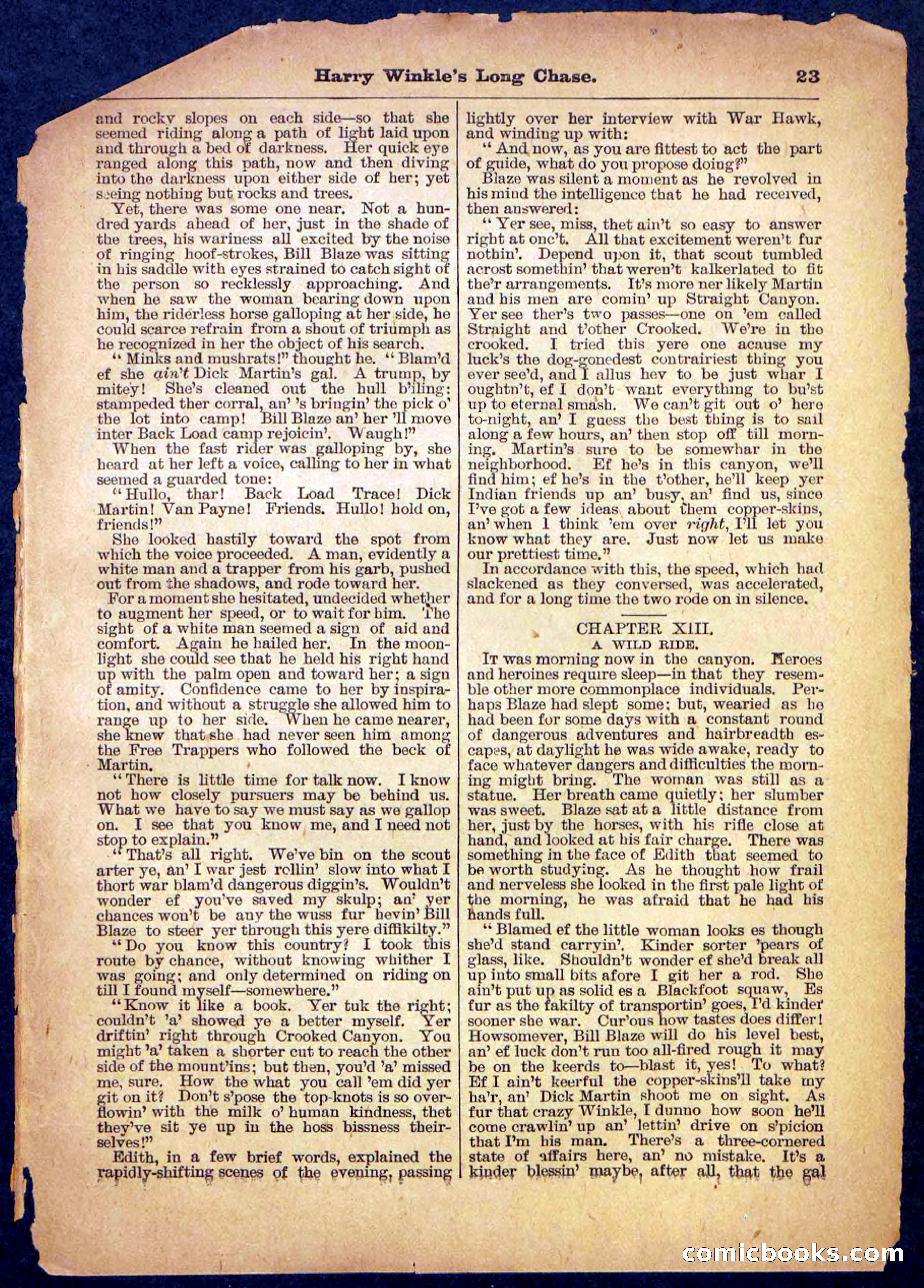 Beadle's Pocket Library, No. 488 — page 23 of 32