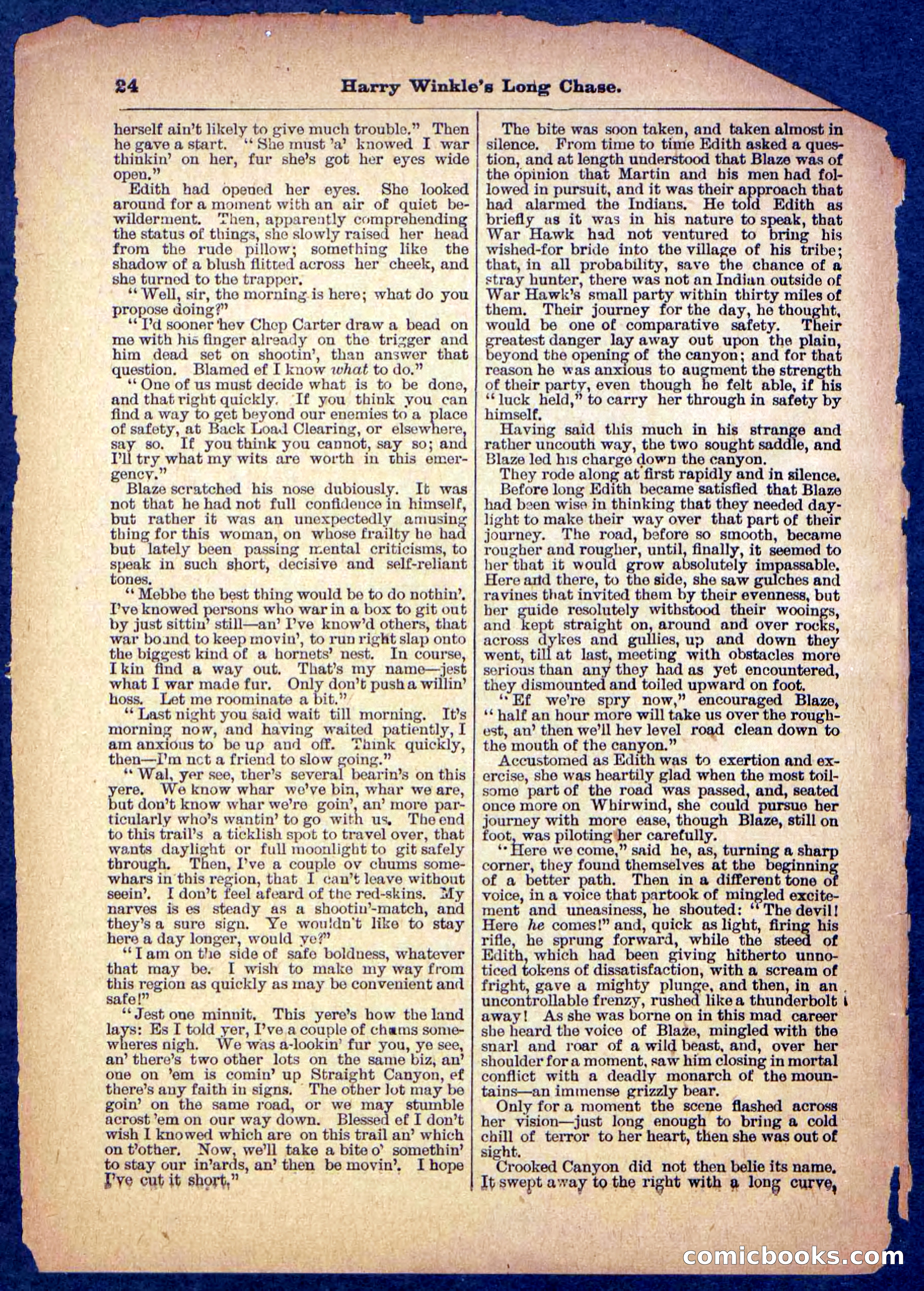 Beadle's Pocket Library, No. 488 — page 24 of 32