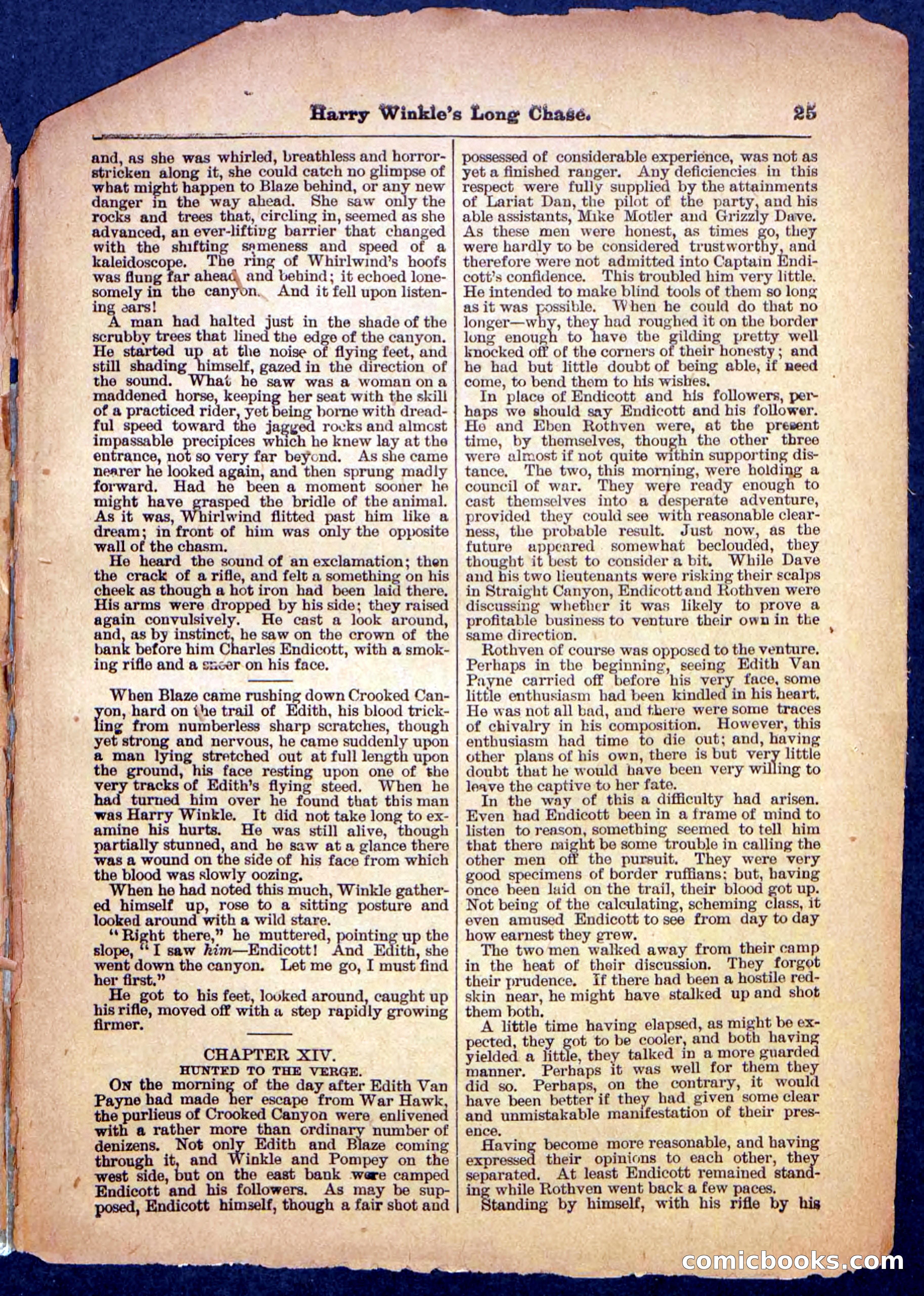Beadle's Pocket Library, No. 488 — page 25 of 32