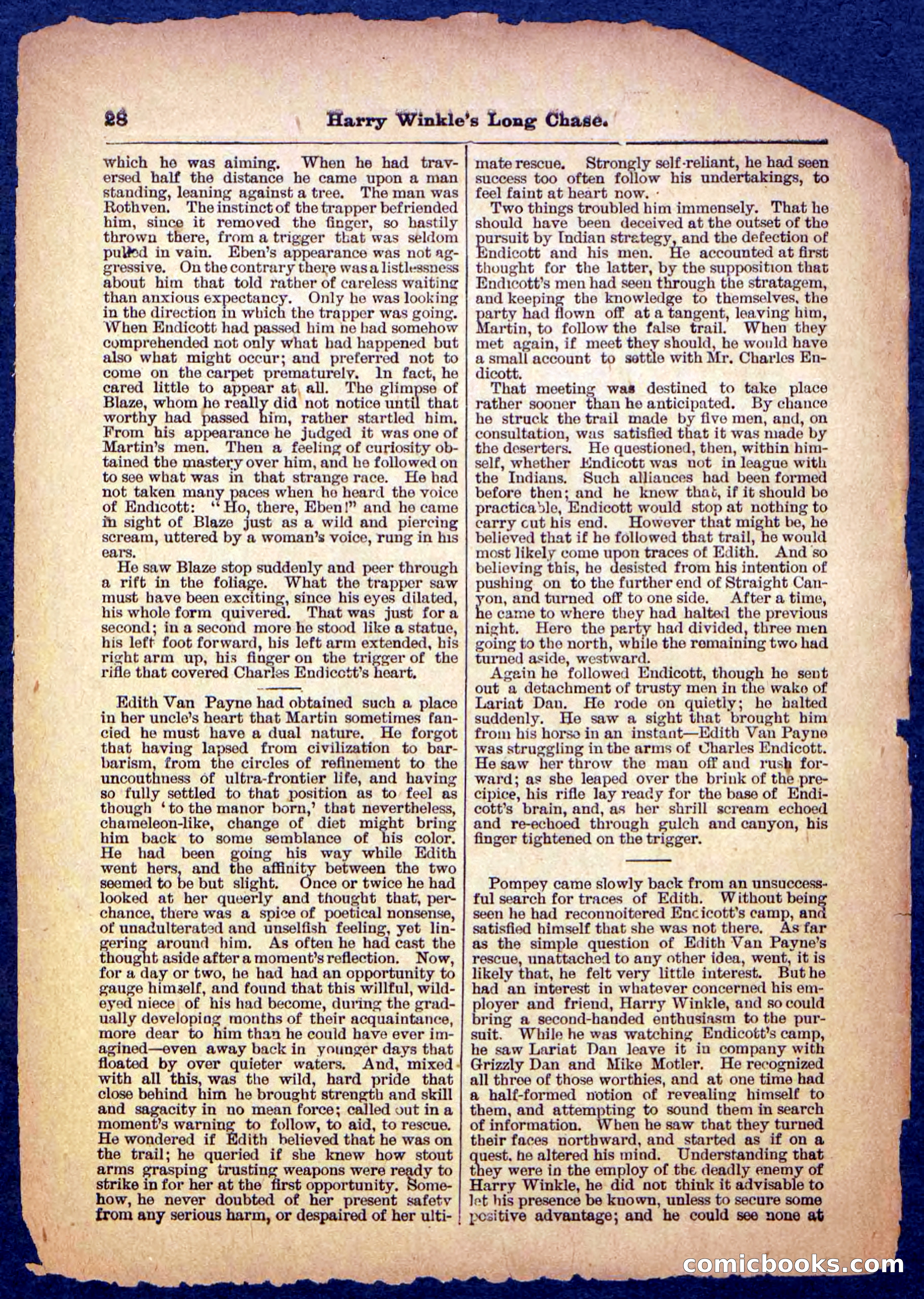 Beadle's Pocket Library, No. 488 — page 28 of 32