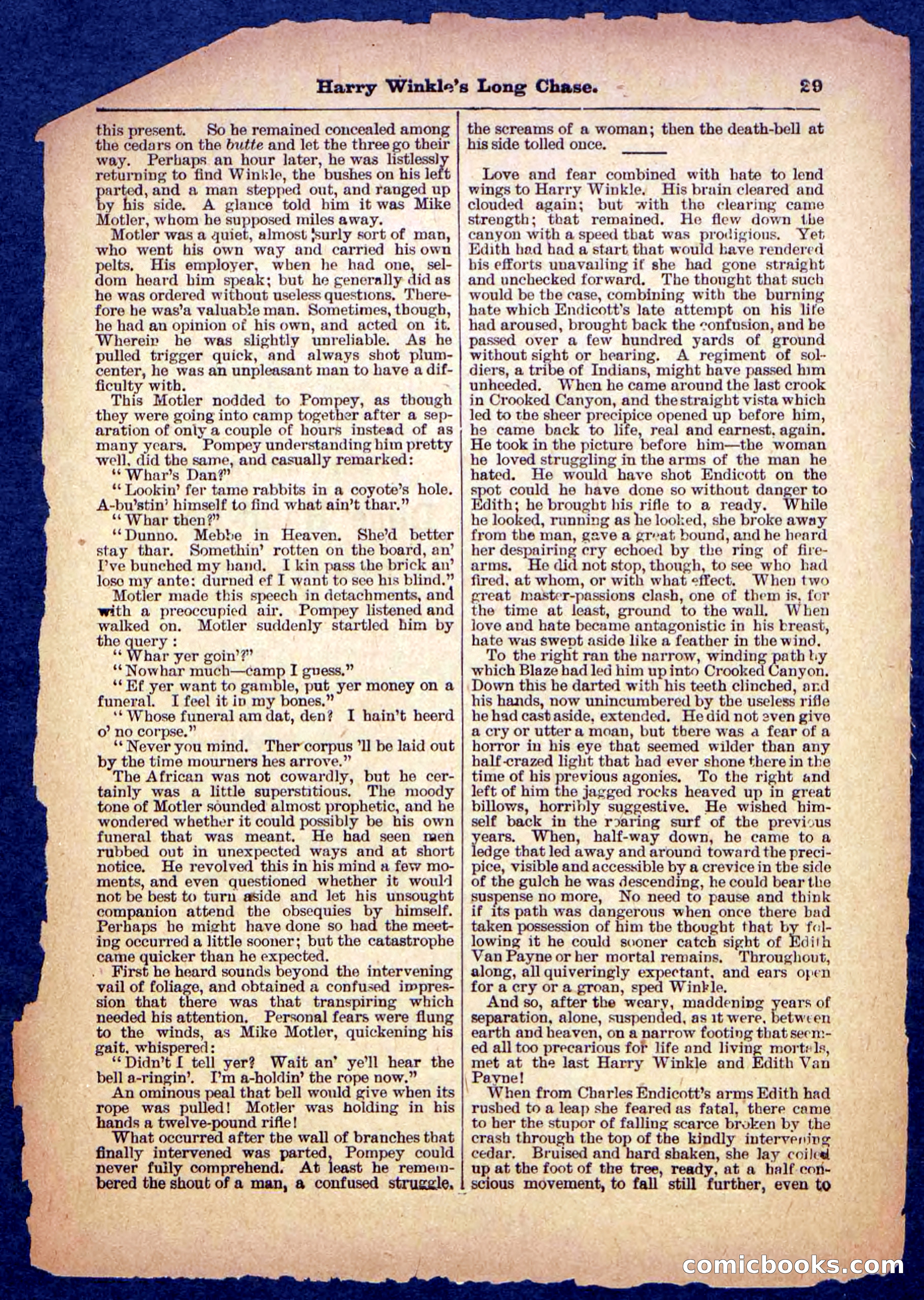 Beadle's Pocket Library, No. 488 — page 29 of 32