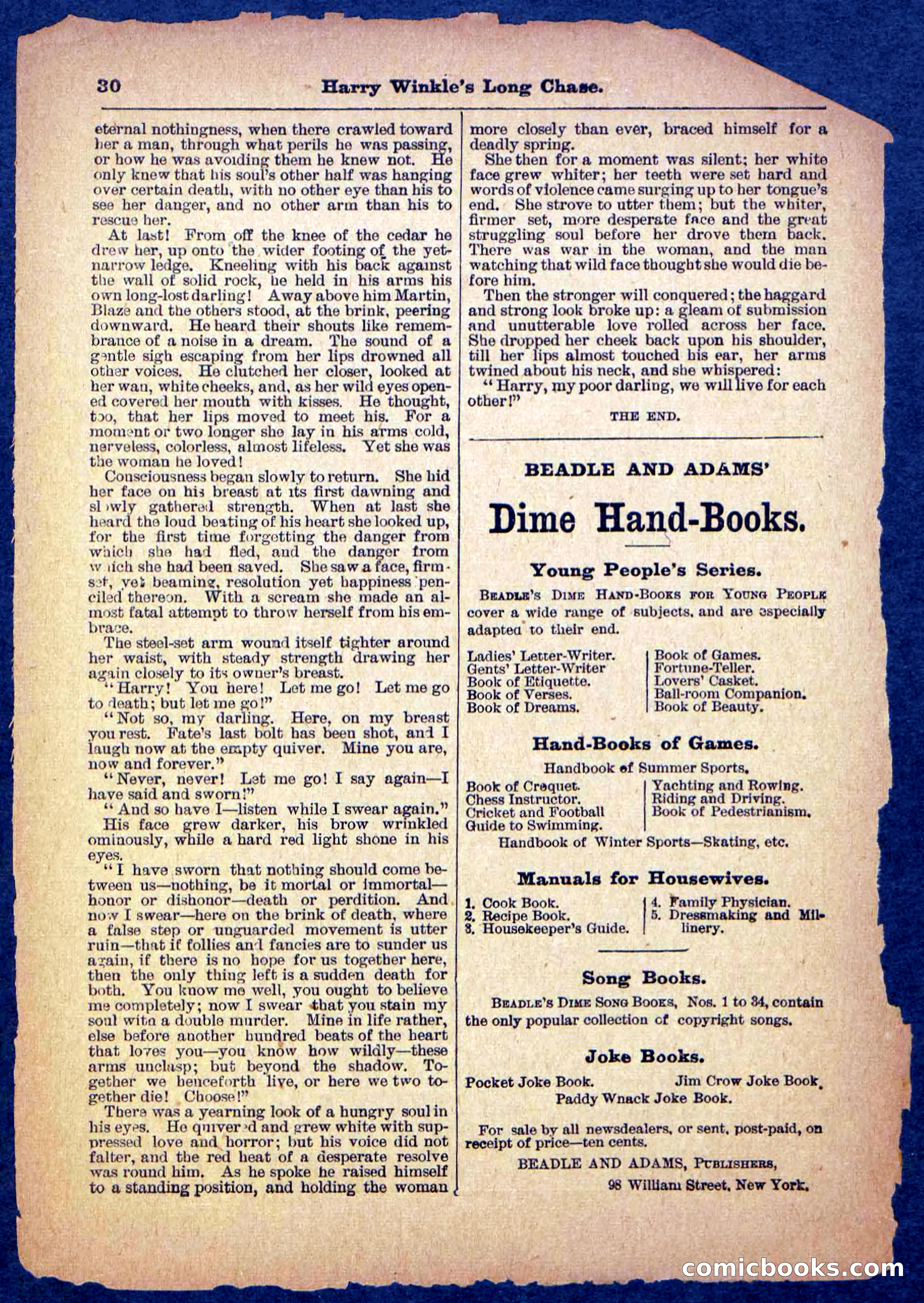 Beadle's Pocket Library, No. 488 — page 30 of 32
