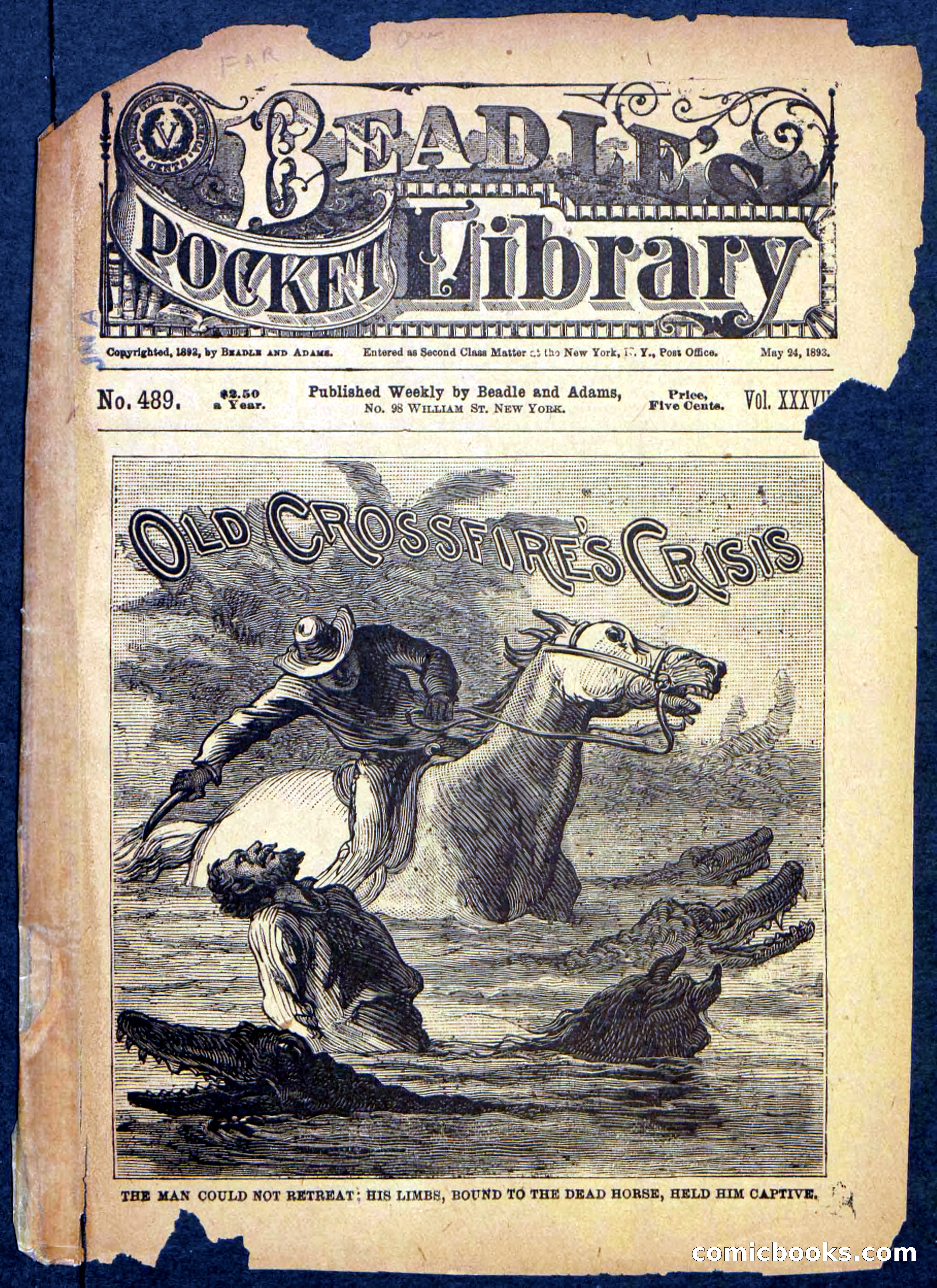 Beadle's Pocket Library No. 489: Old Crossfire's Crisis