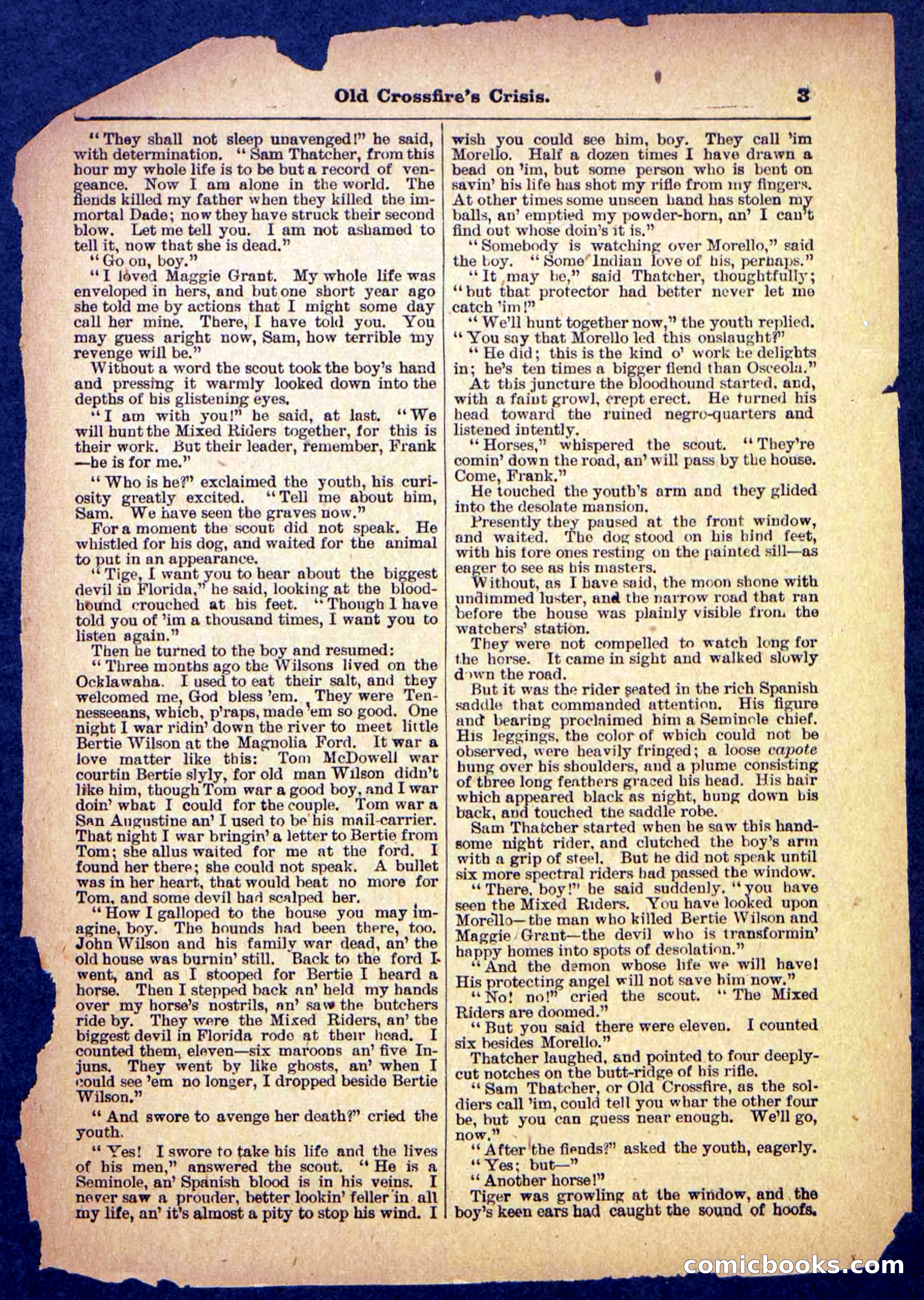 Beadle's Pocket Library No. 489: Old Crossfire's Crisis — page 3 of 32
