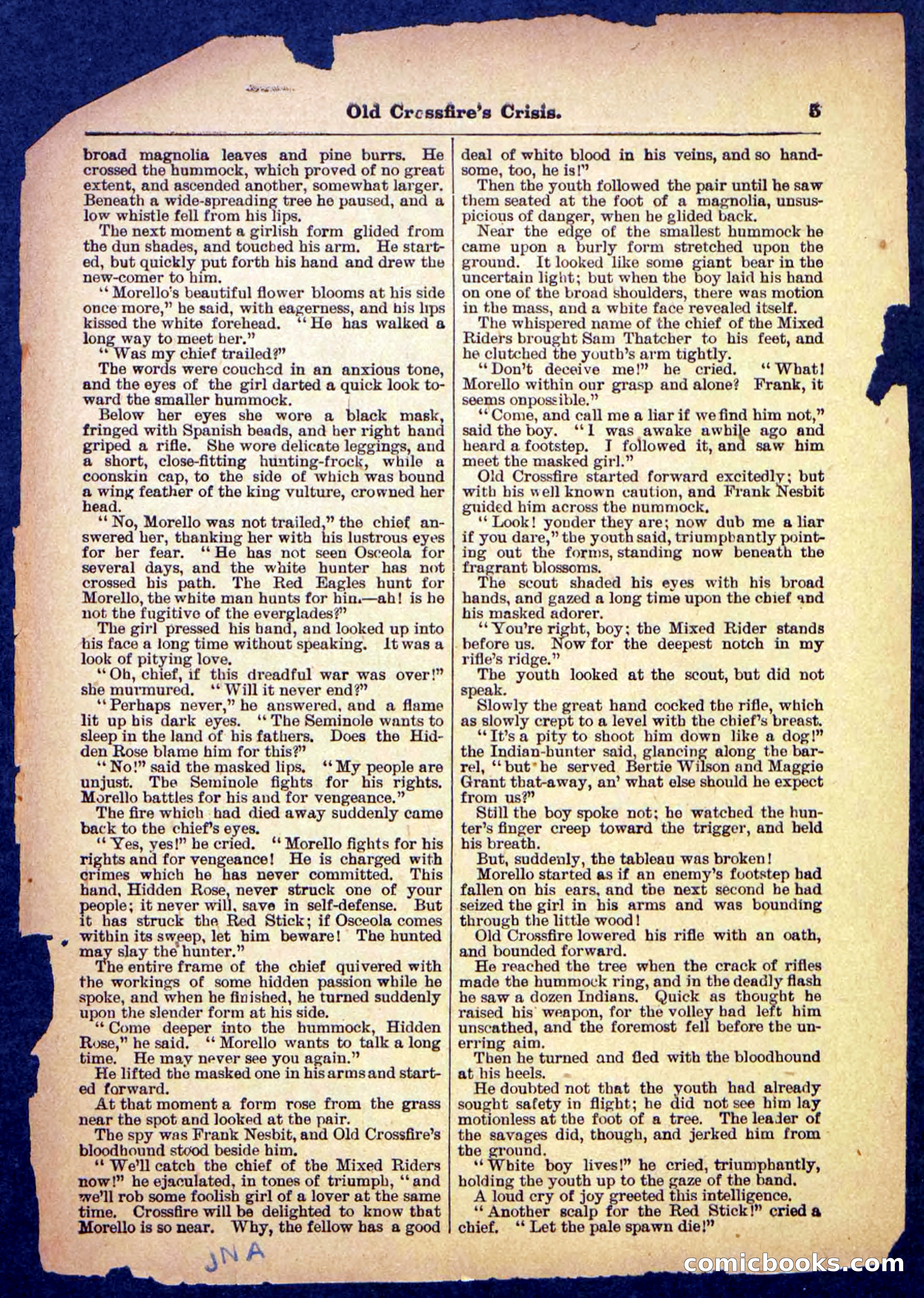 Beadle's Pocket Library No. 489: Old Crossfire's Crisis — page 5 of 32