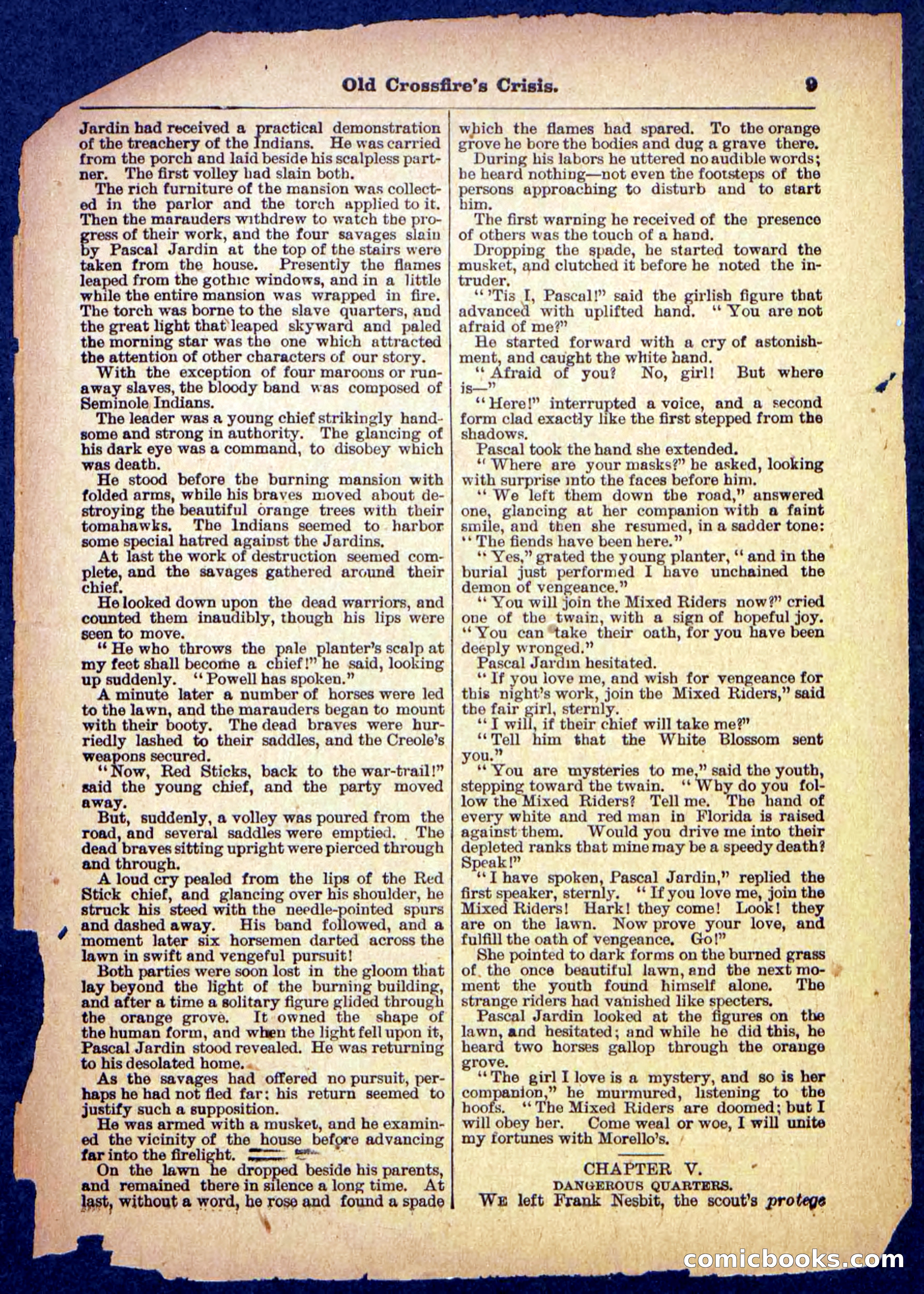 Beadle's Pocket Library No. 489: Old Crossfire's Crisis — page 9 of 32